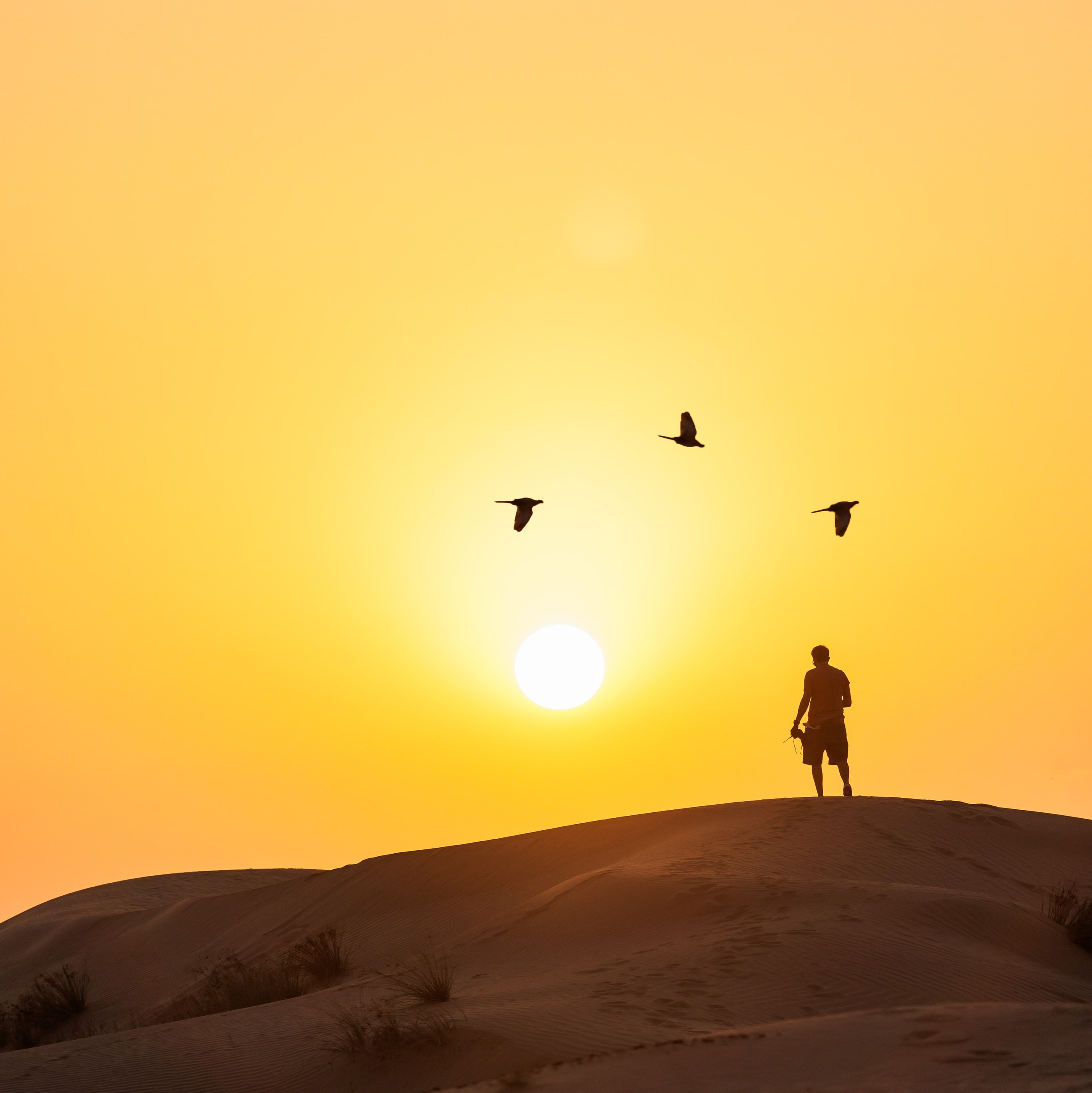 Services. Photographer in Saint-Petersburg and Moscow Max Spector