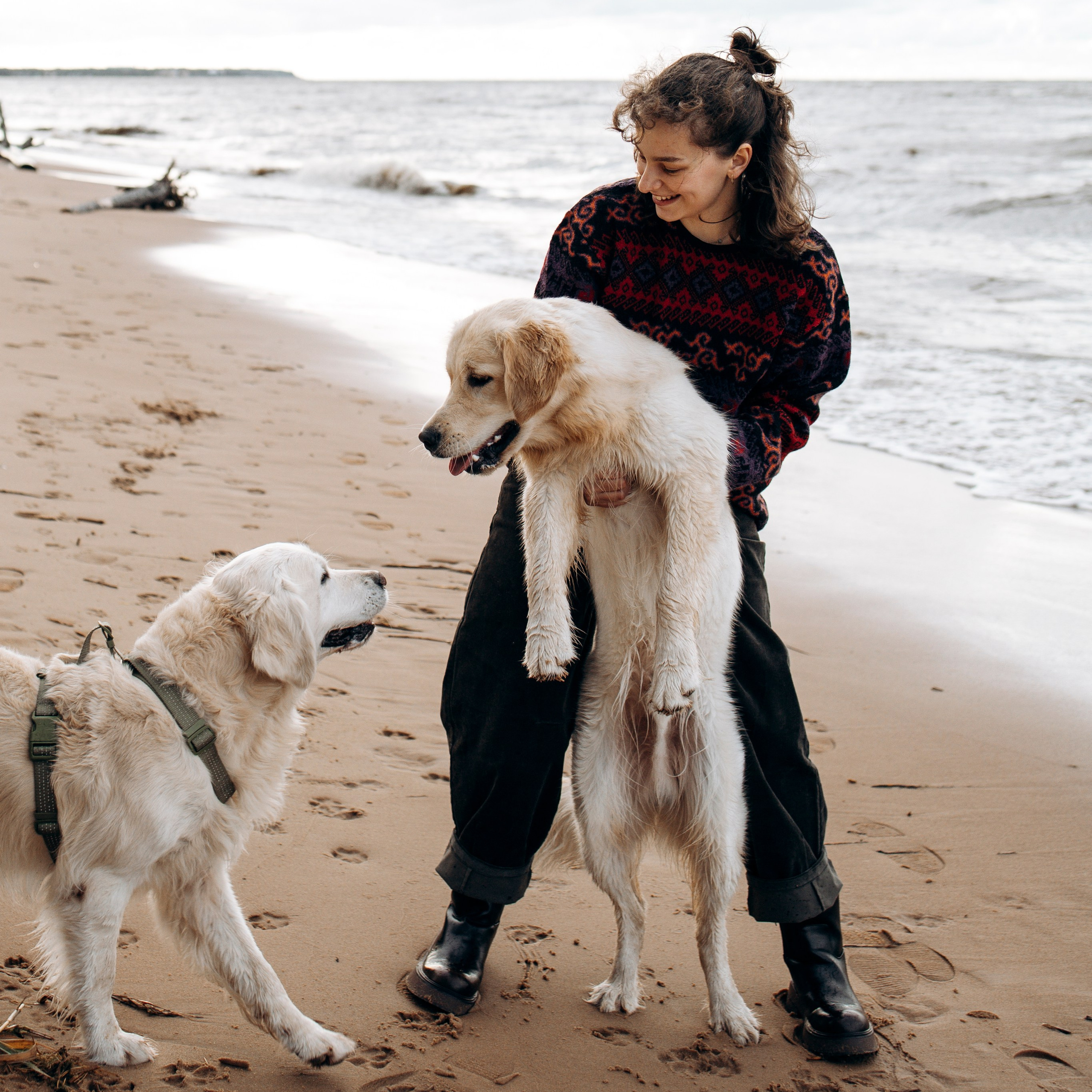 Фотограф — Анималист | Санкт-Петербург