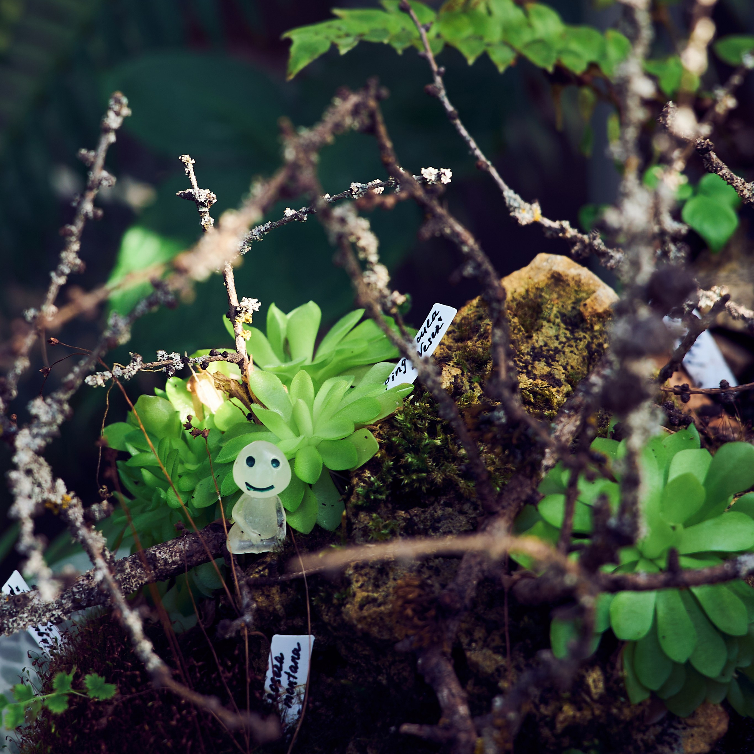 Контакты. Фотограф Анастасия Клинова. Тверь