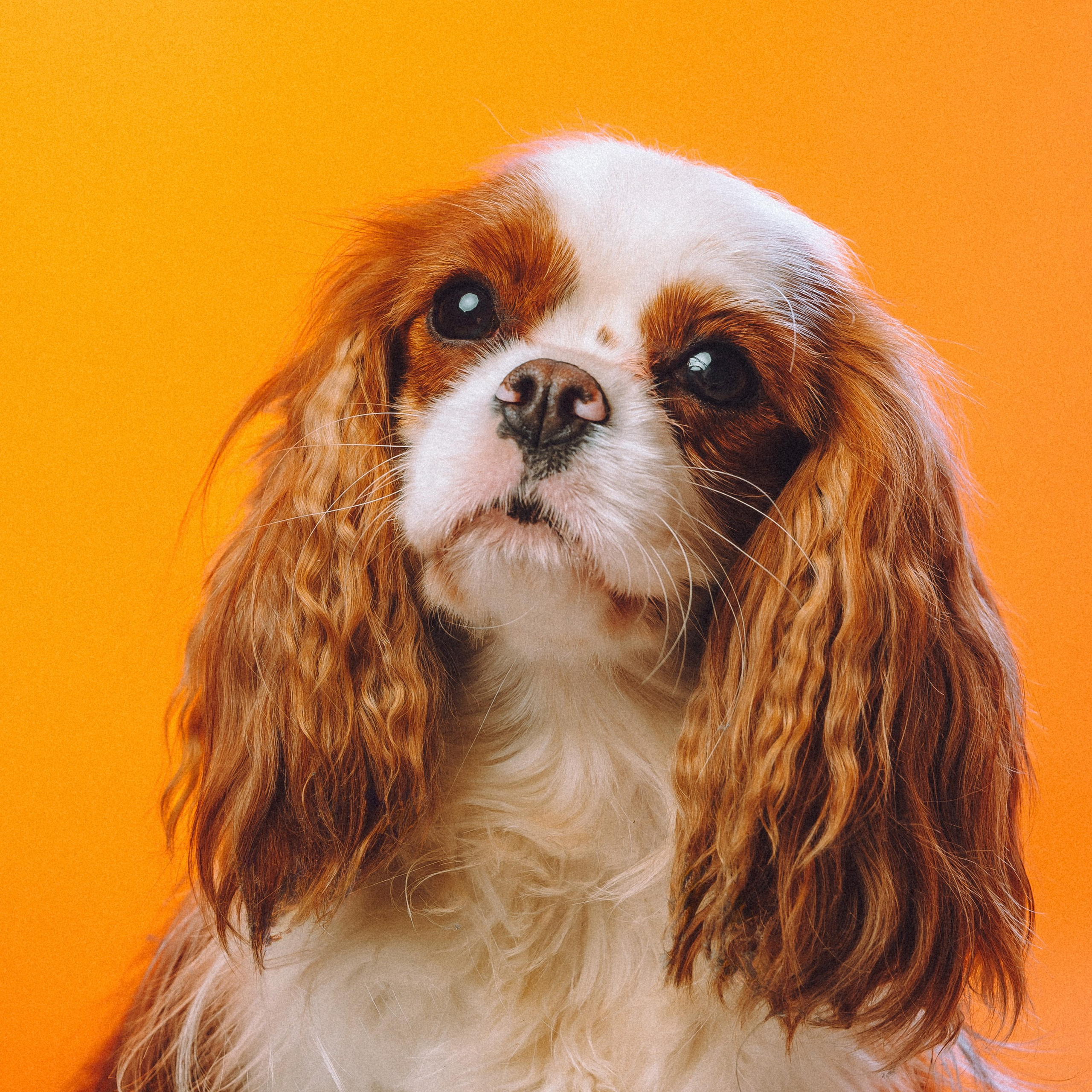 Воркшоп по импульсному свету