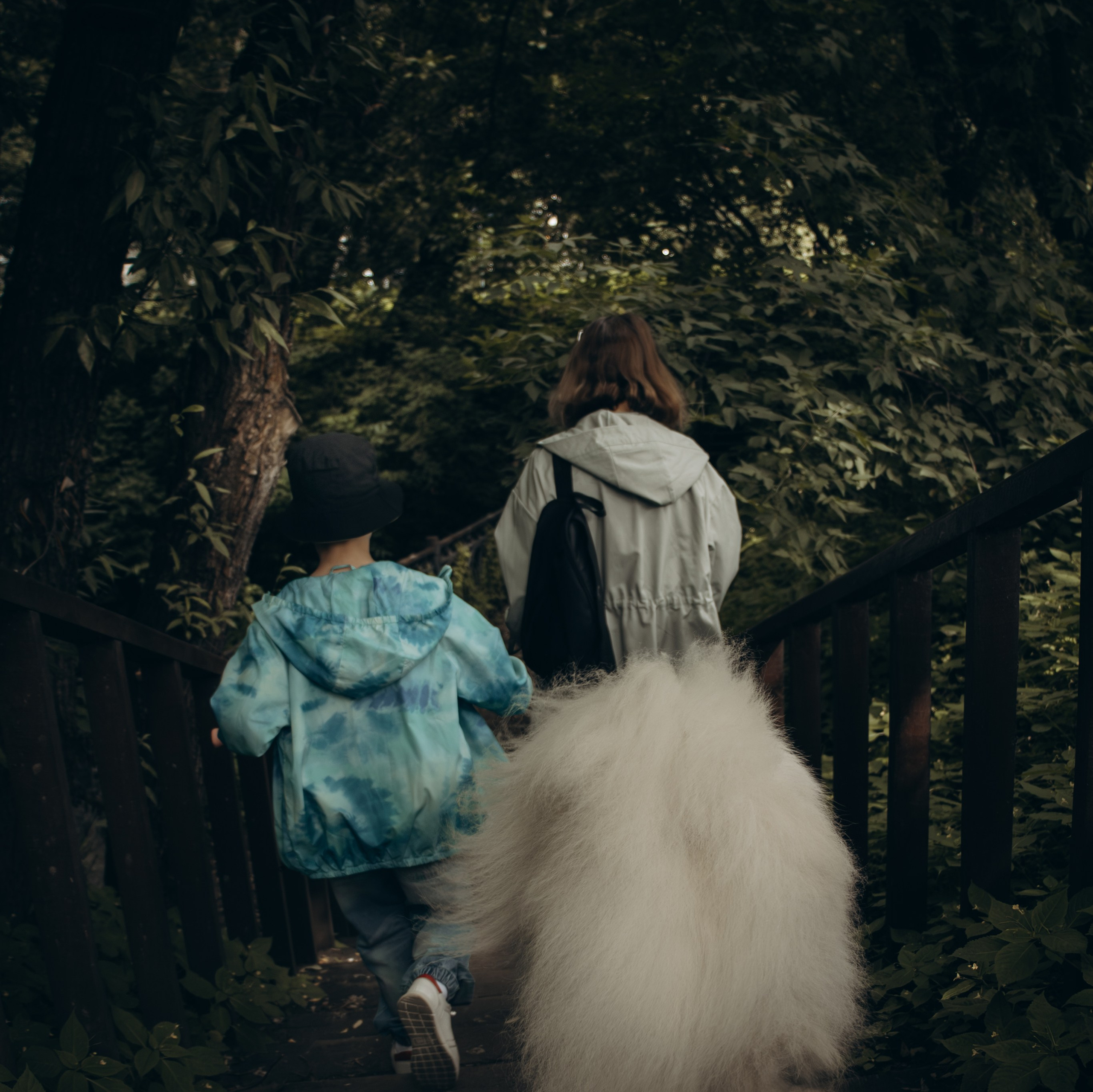 Как подготовить собаку к фотосессии. Фотограф-анималист в Москве Екатерина Тихонова