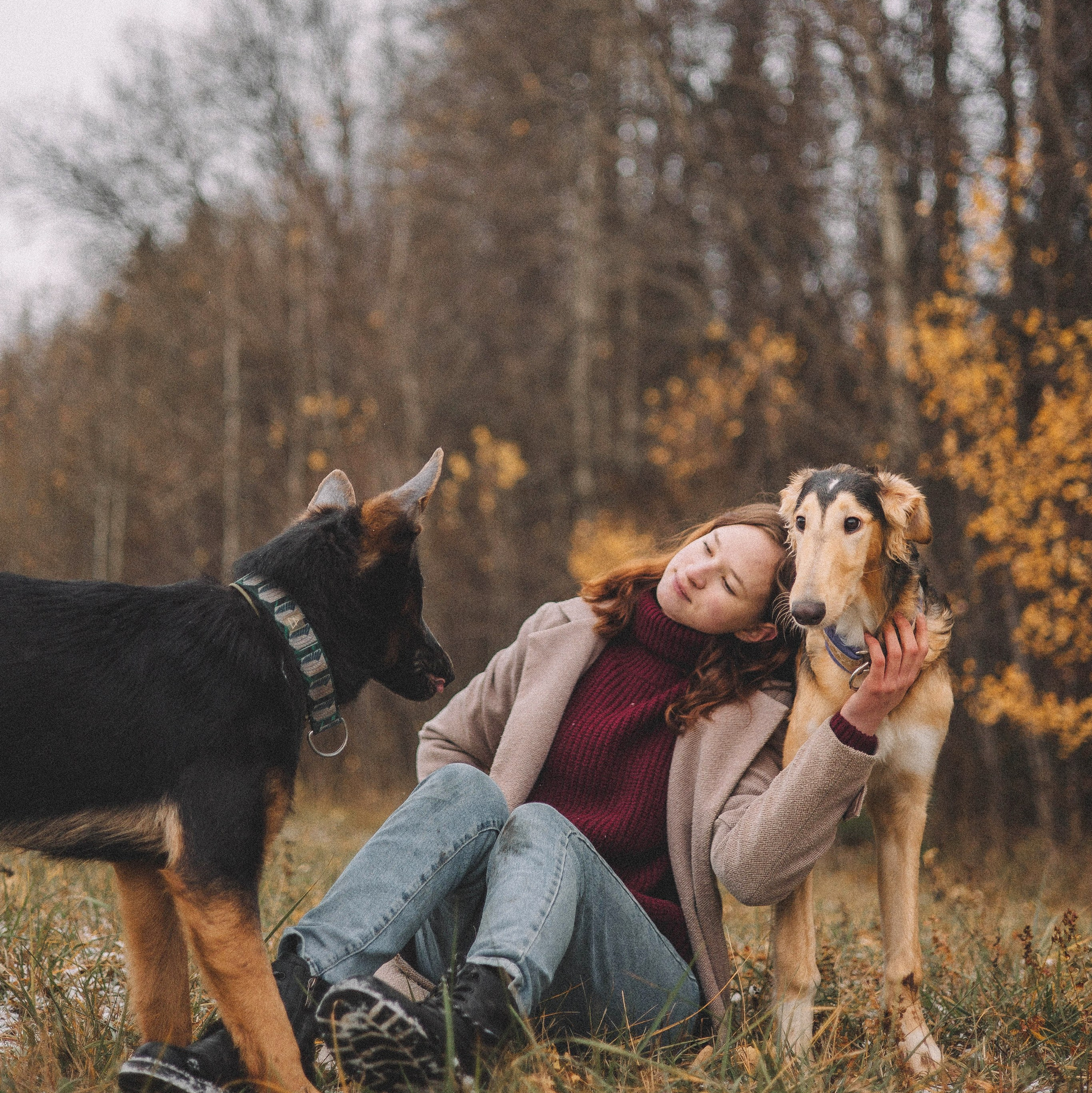 Цена съемки. Фотограф-анималист Богданова Полина
