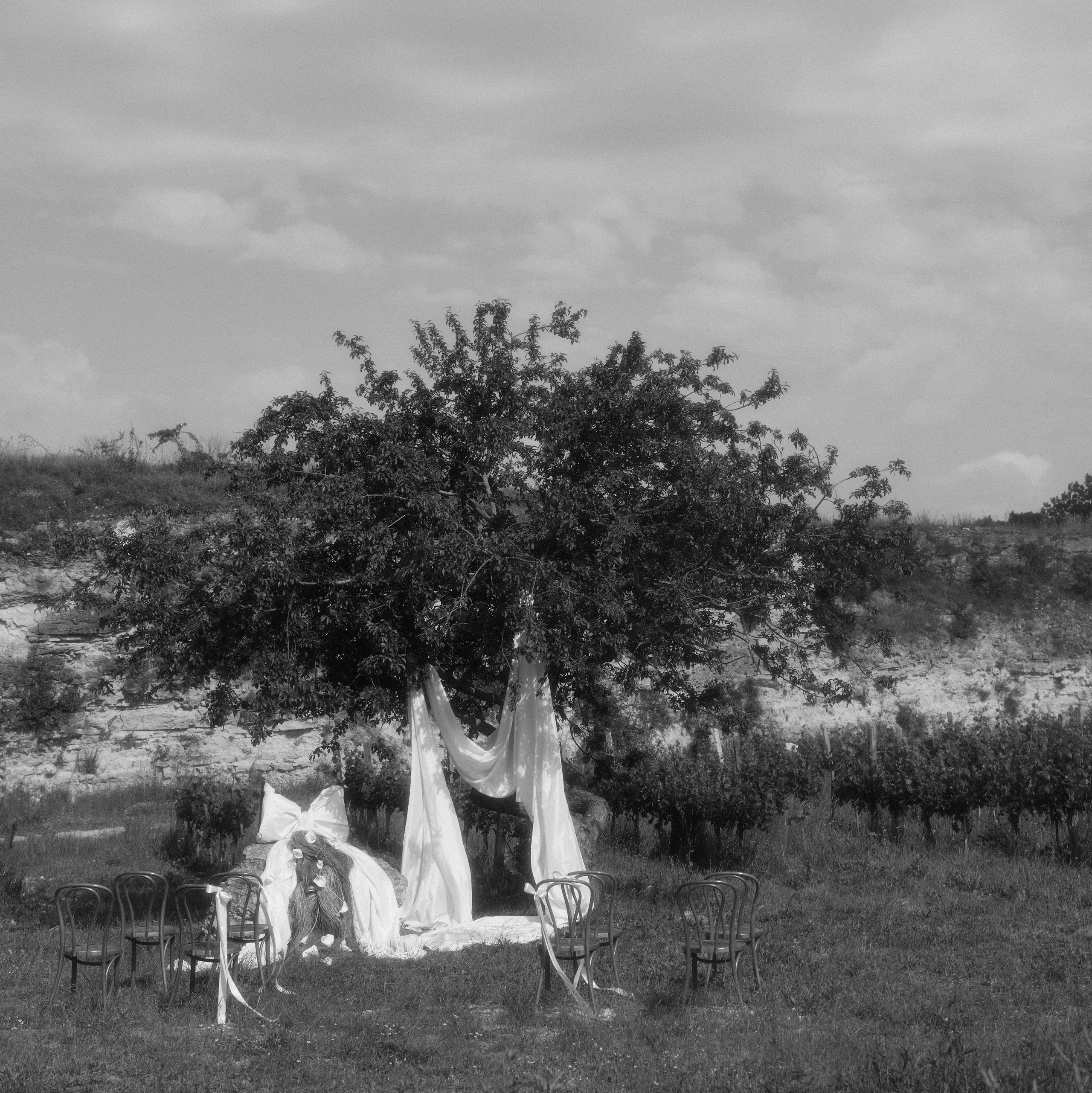 Прайс. Свадебный фотограф Кристина Вениченко