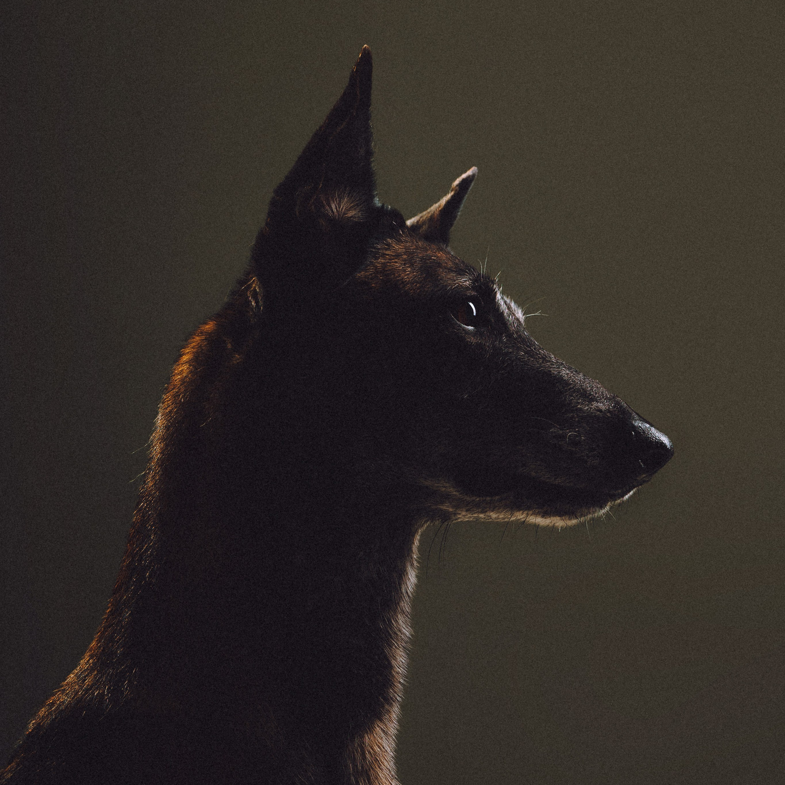 Воркшоп по импульсному свету