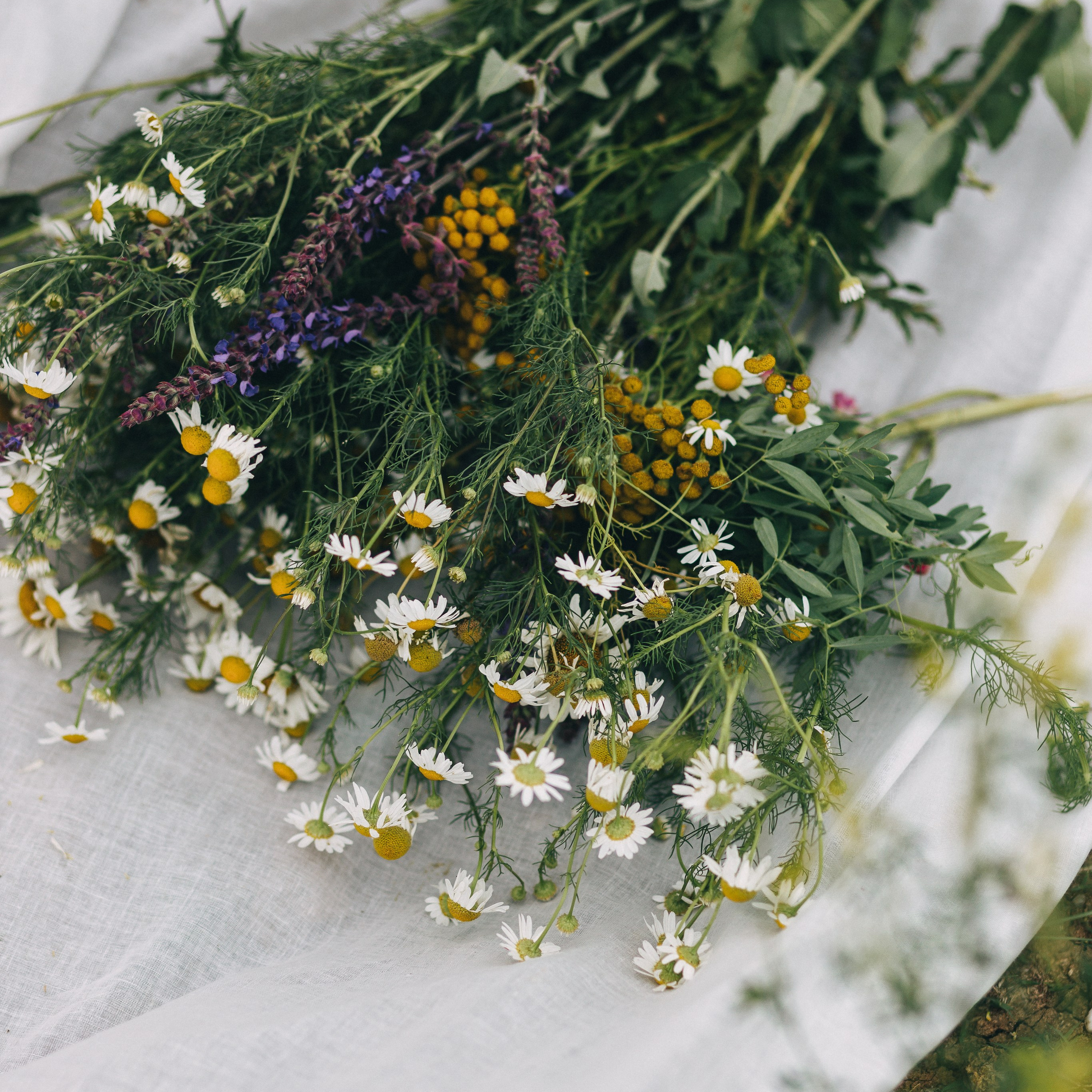 Свадебный и семейный фотограф Ростова-на-Дону Ирина Бондарева