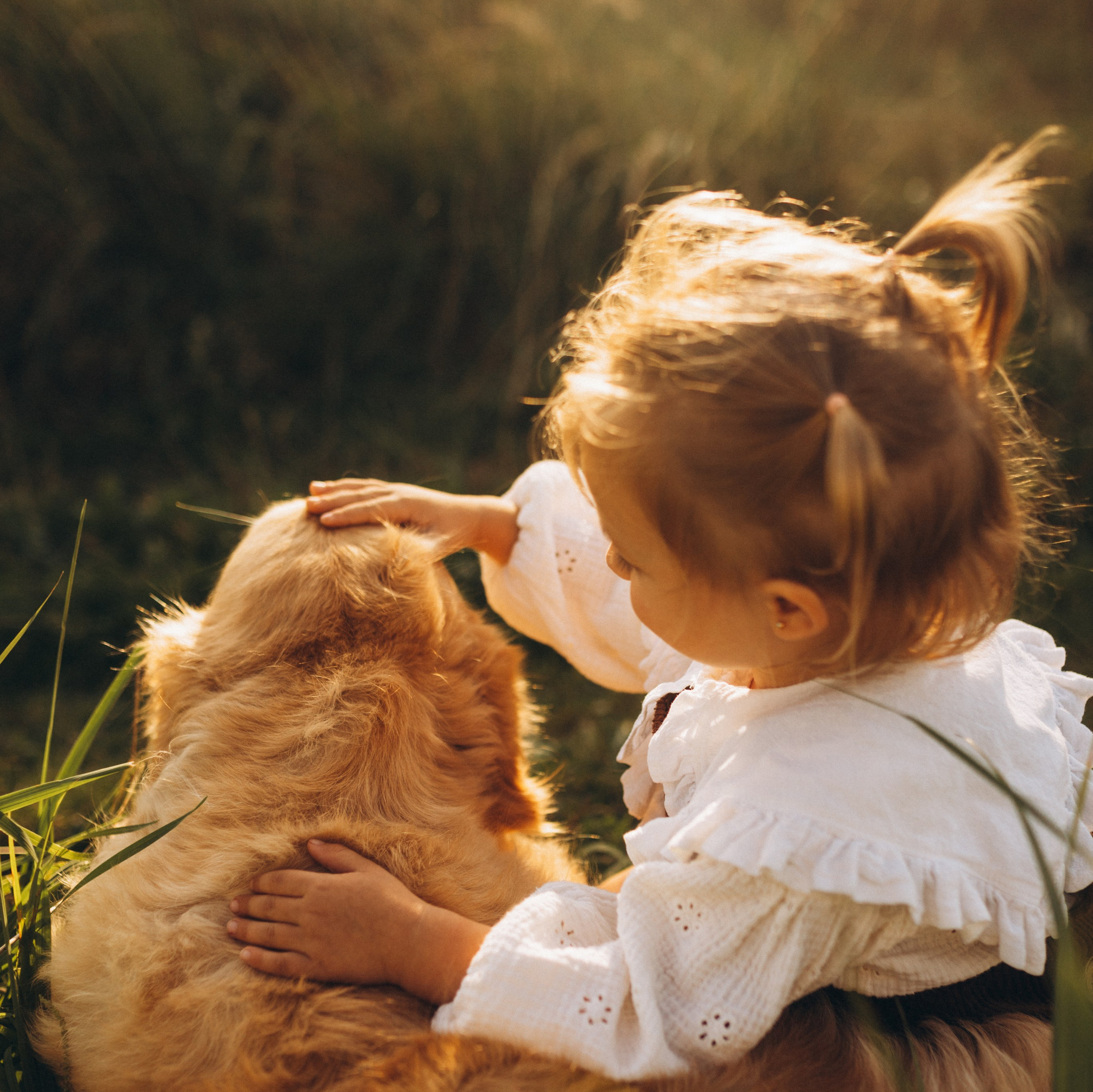 Свадебный и семейный фотограф в Москве и Казани Низамиева Талия