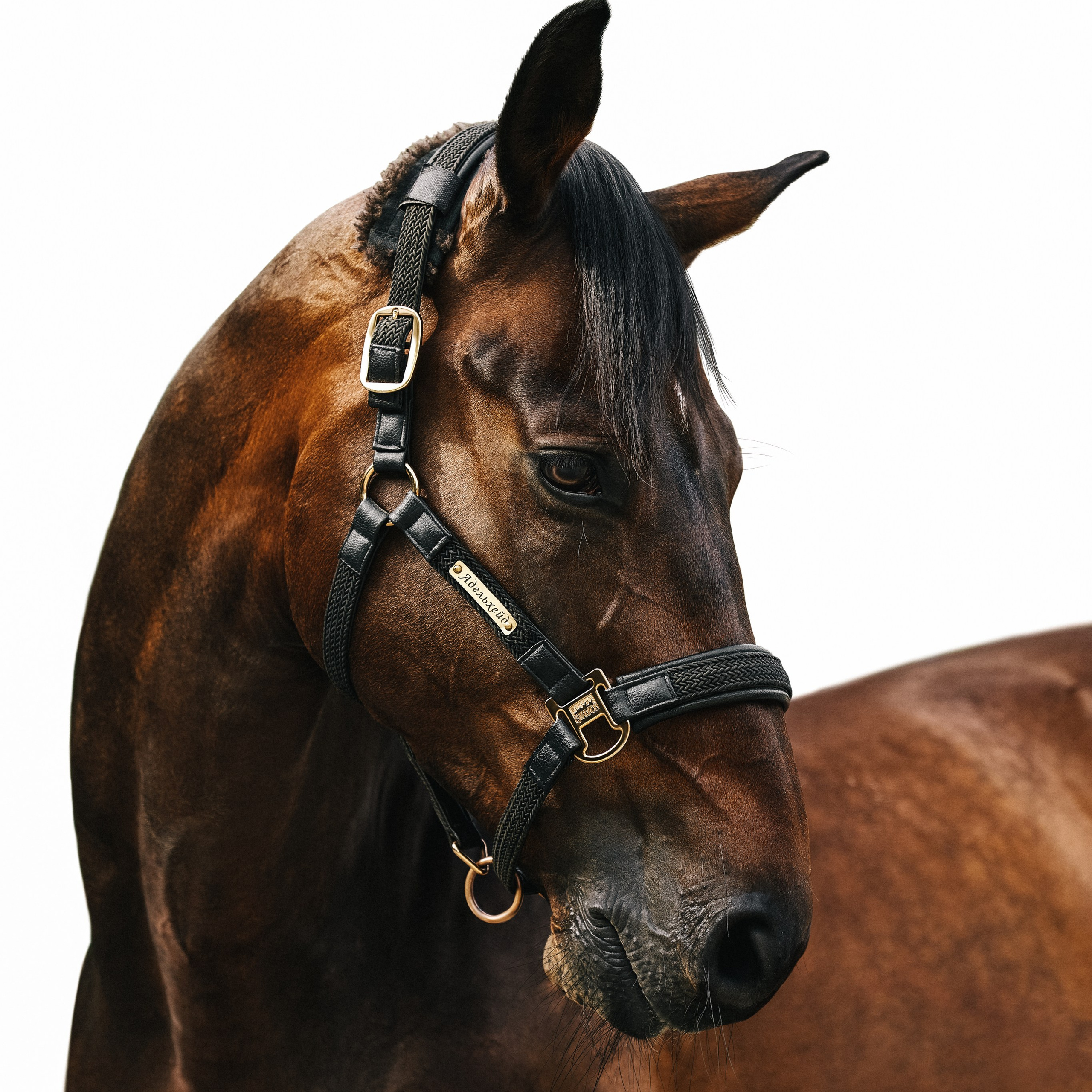 Услуги. Фотограф Москва Кристина Джоанна