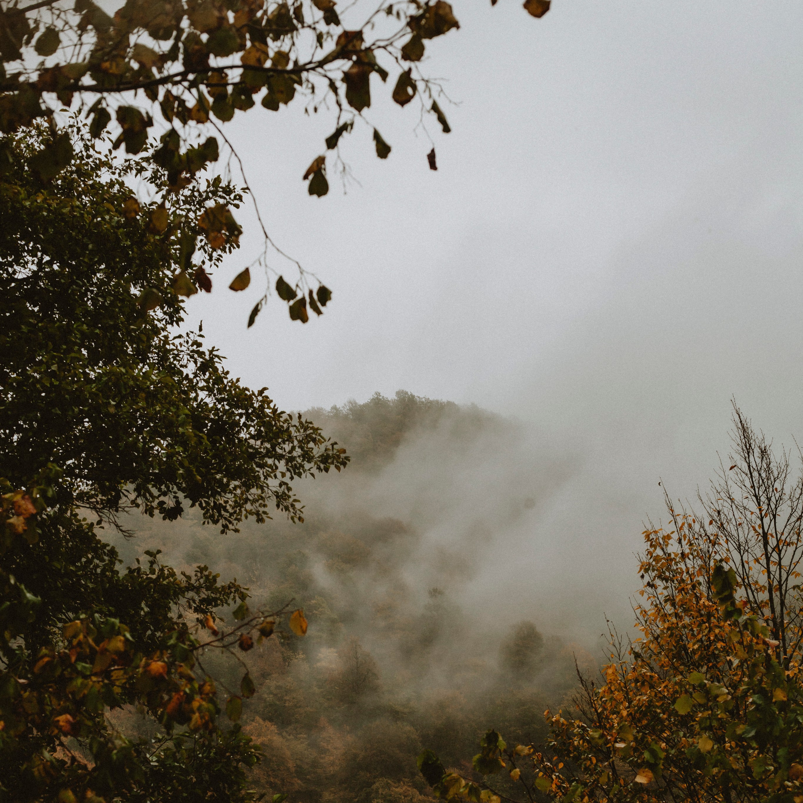 SCHOOL ALBUM. Фотограф и видеограф в Санкт-Петербурге Прилепин Слава