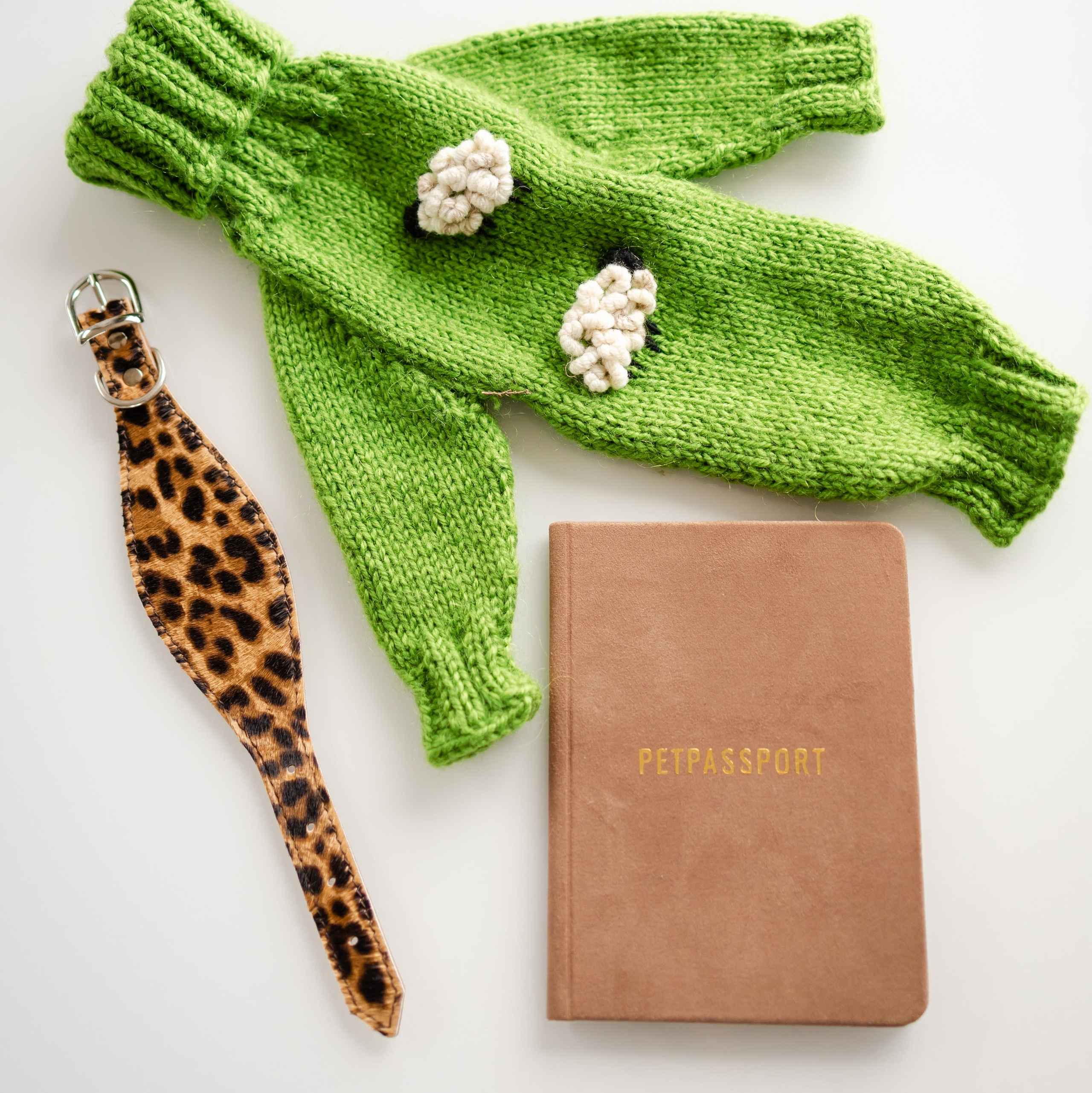 Путешествия. Профессиональный питомник левреток РКФ/FCI ASTI SAPPHIRE 💎 Сочи|Санкт-Петербург