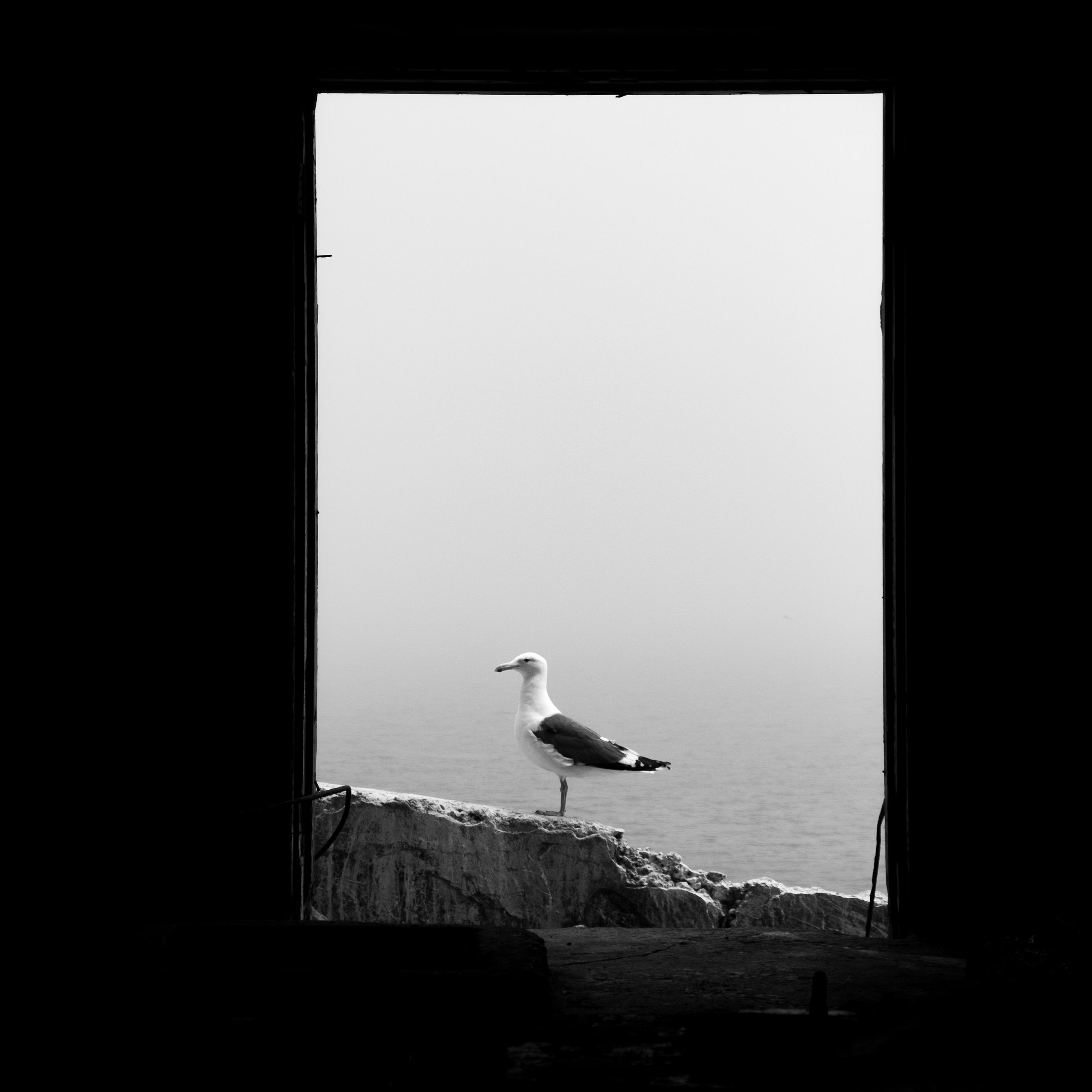 Фотография. Художник, фотограф с Сахалина Ирина Тен