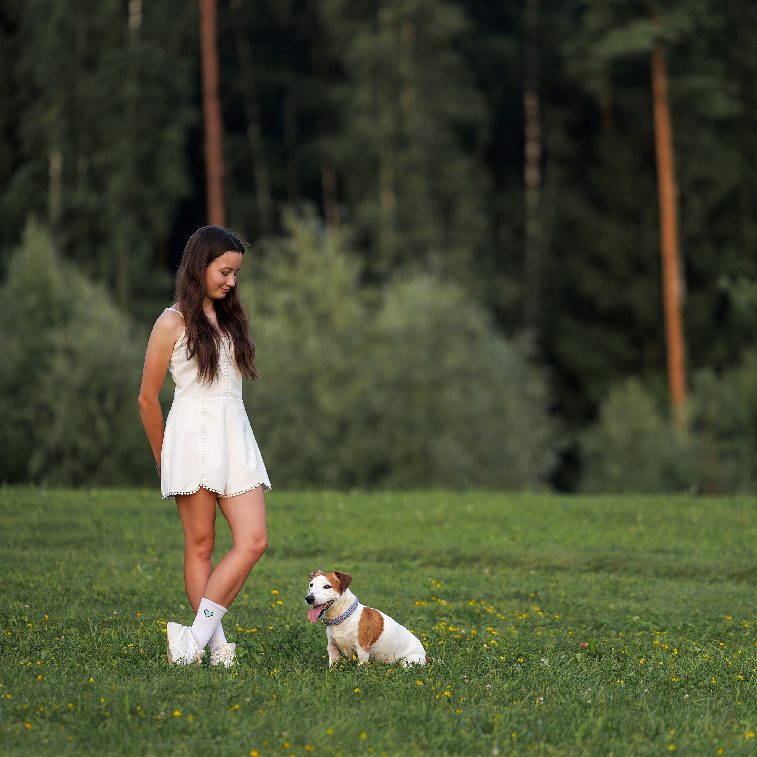 Тарифы и Условия. Фотограф Анималист в Москве Анастасия Жучкова