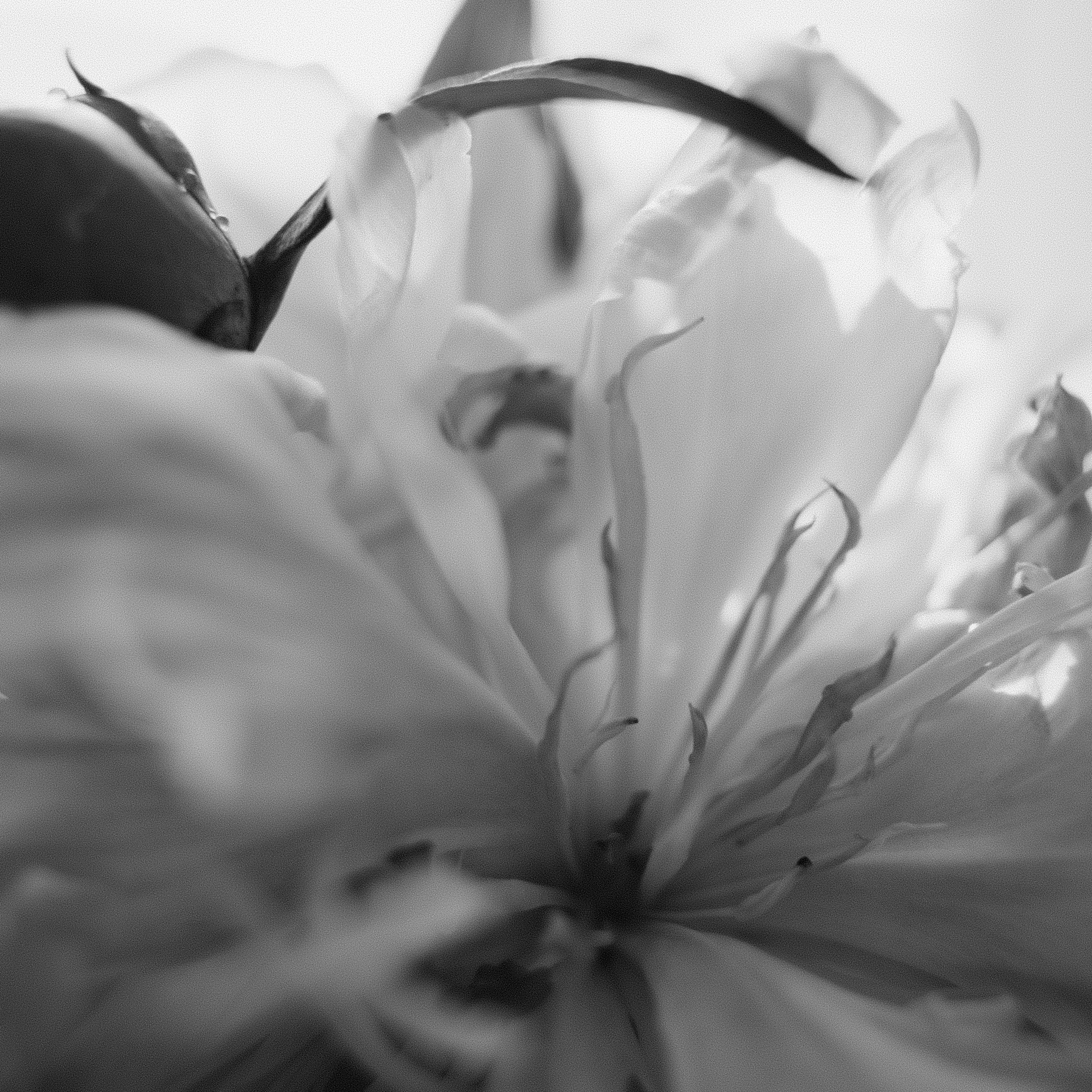 Как подготовиться к фотосессии. Главная