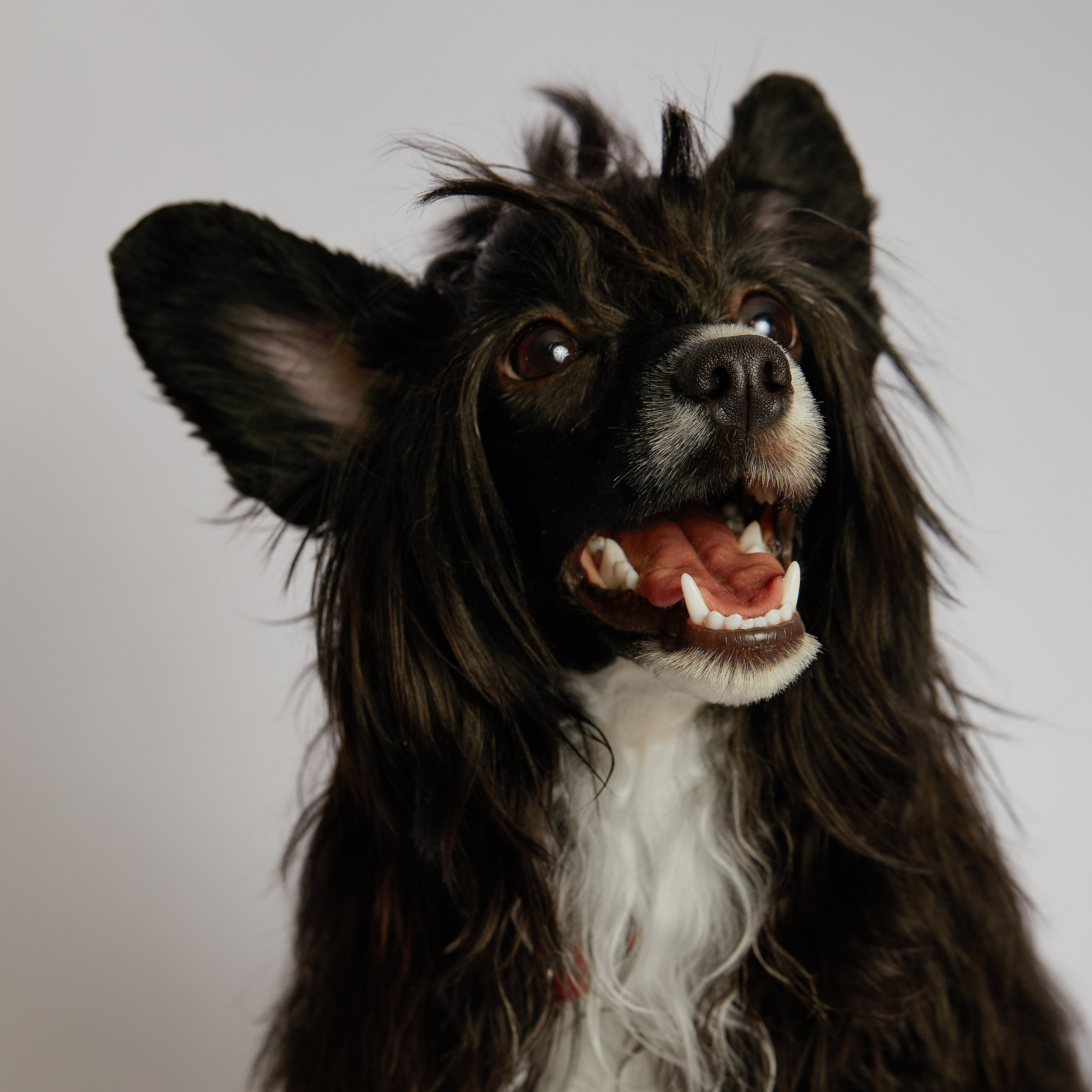 ФОТОГРАФ И РЕТУШЕР В МОСКВЕ ВИКТОРИЯ АКИМОВА