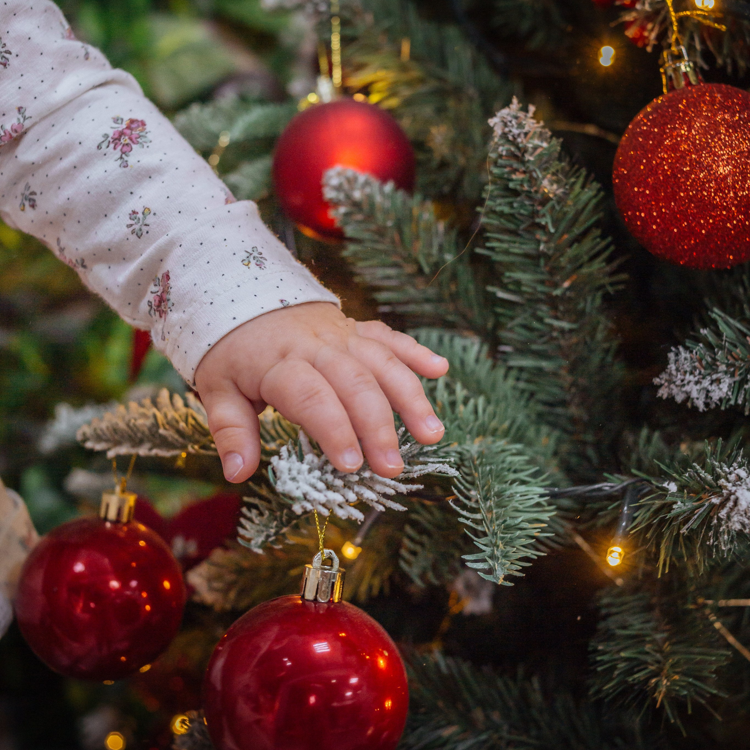 Новогодняя семейная фотосессия. Фотограф в Минске Екатерина Тузова