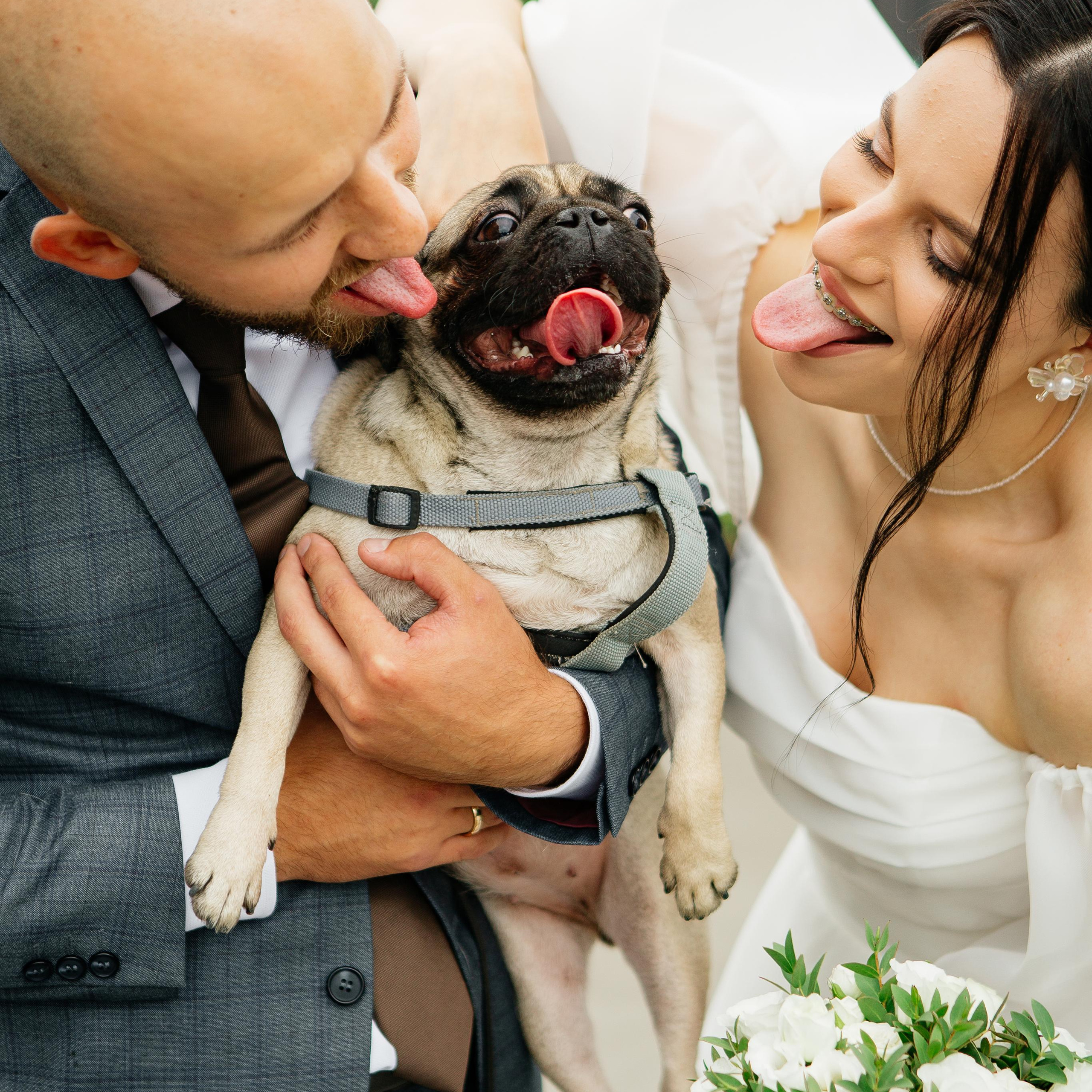 Прайс на свадебную съемку. Свадебный фотограф Жан Седов