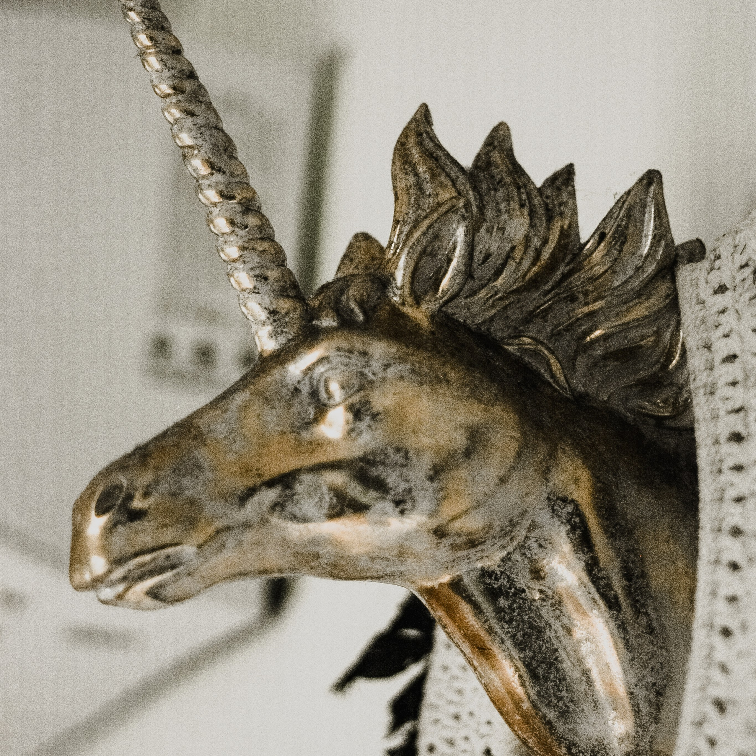 Контакты. Портретный и ню фотограф в Москве Александра Мишура