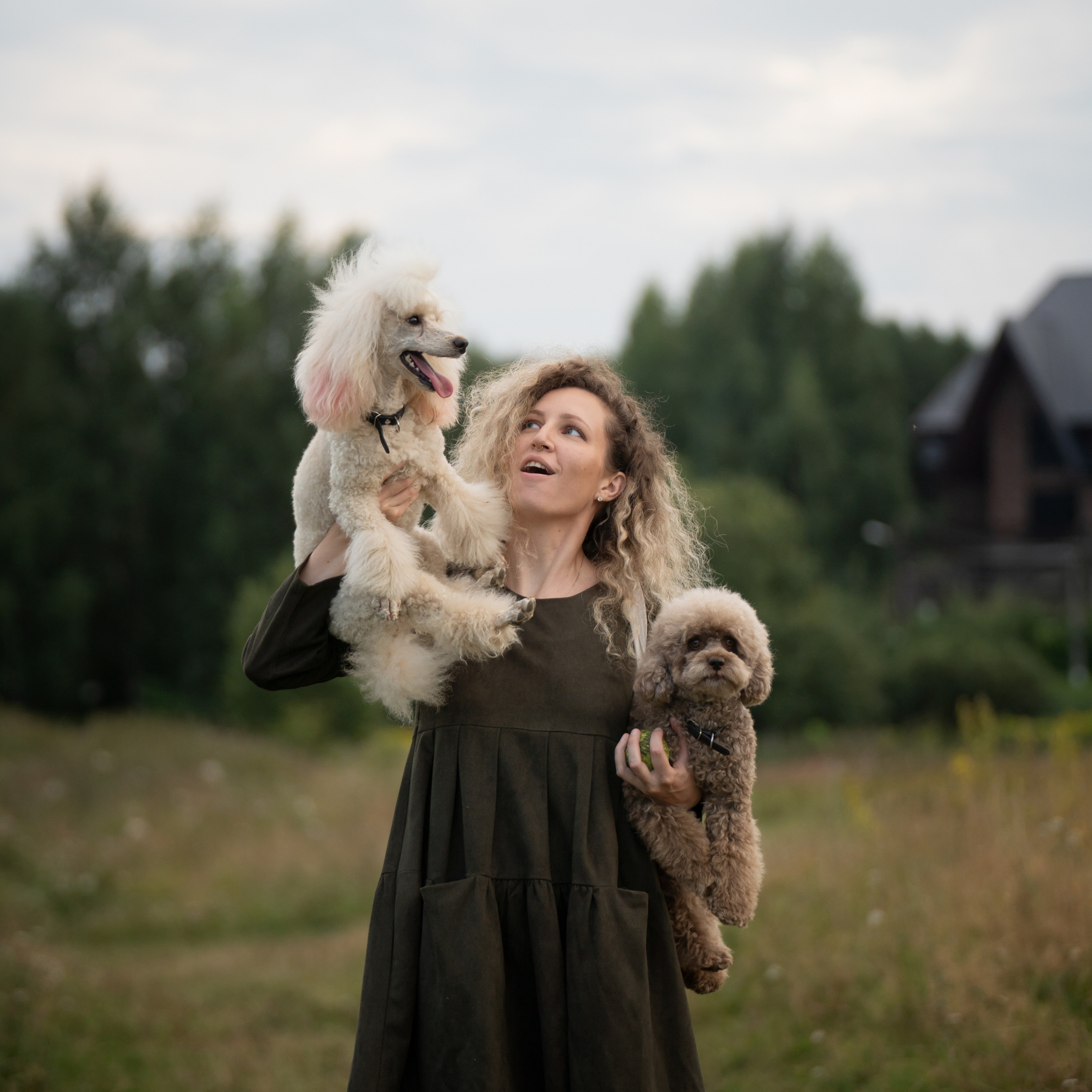 Услуги. Фотограф анималист