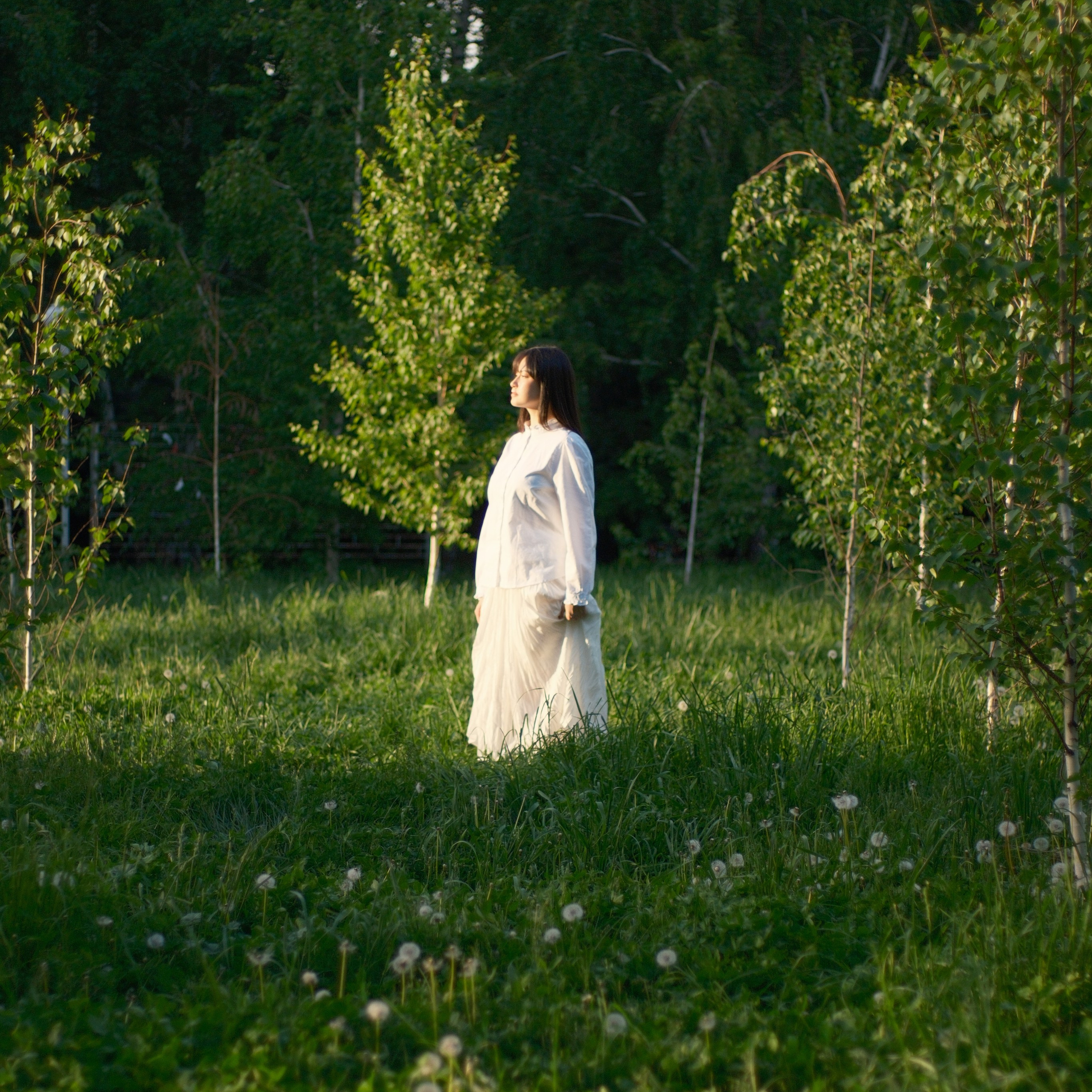 Обучение. Гаффер в Алматы | Саян