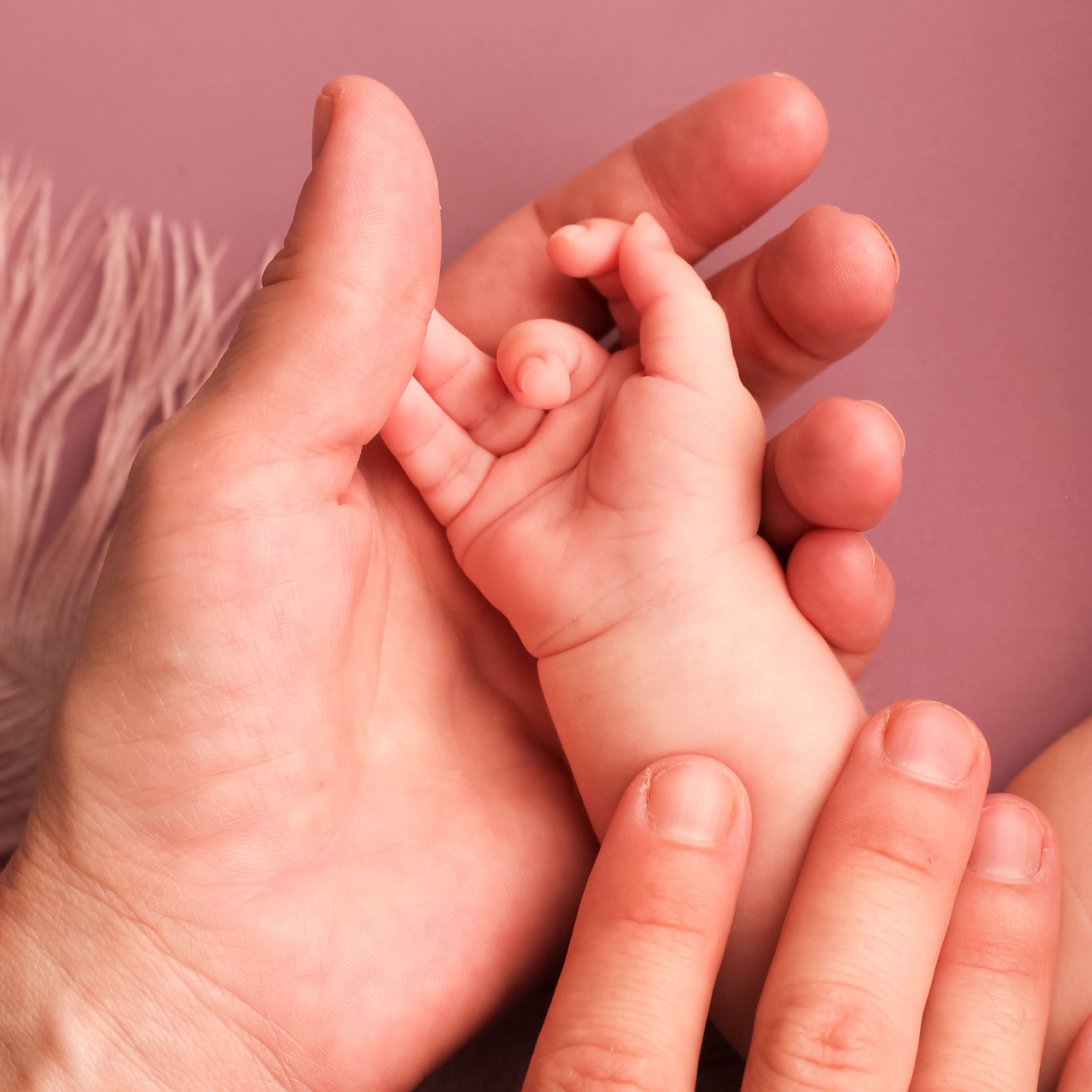 Обо мне. Photograper Israel/фотограф Израиль. ALINA TARAN