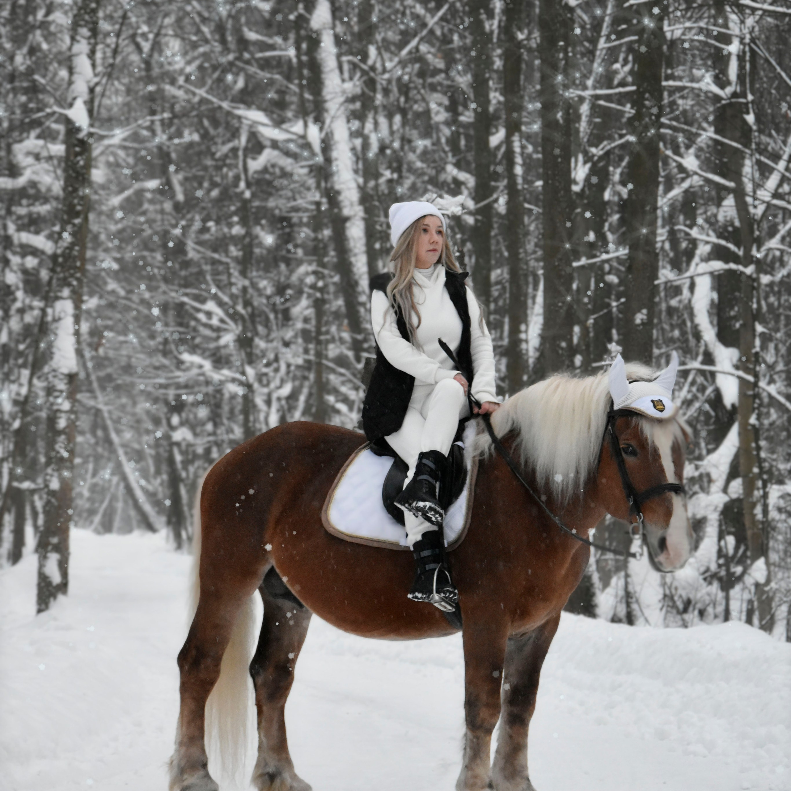 Контакты. Конный фотограф Москва
