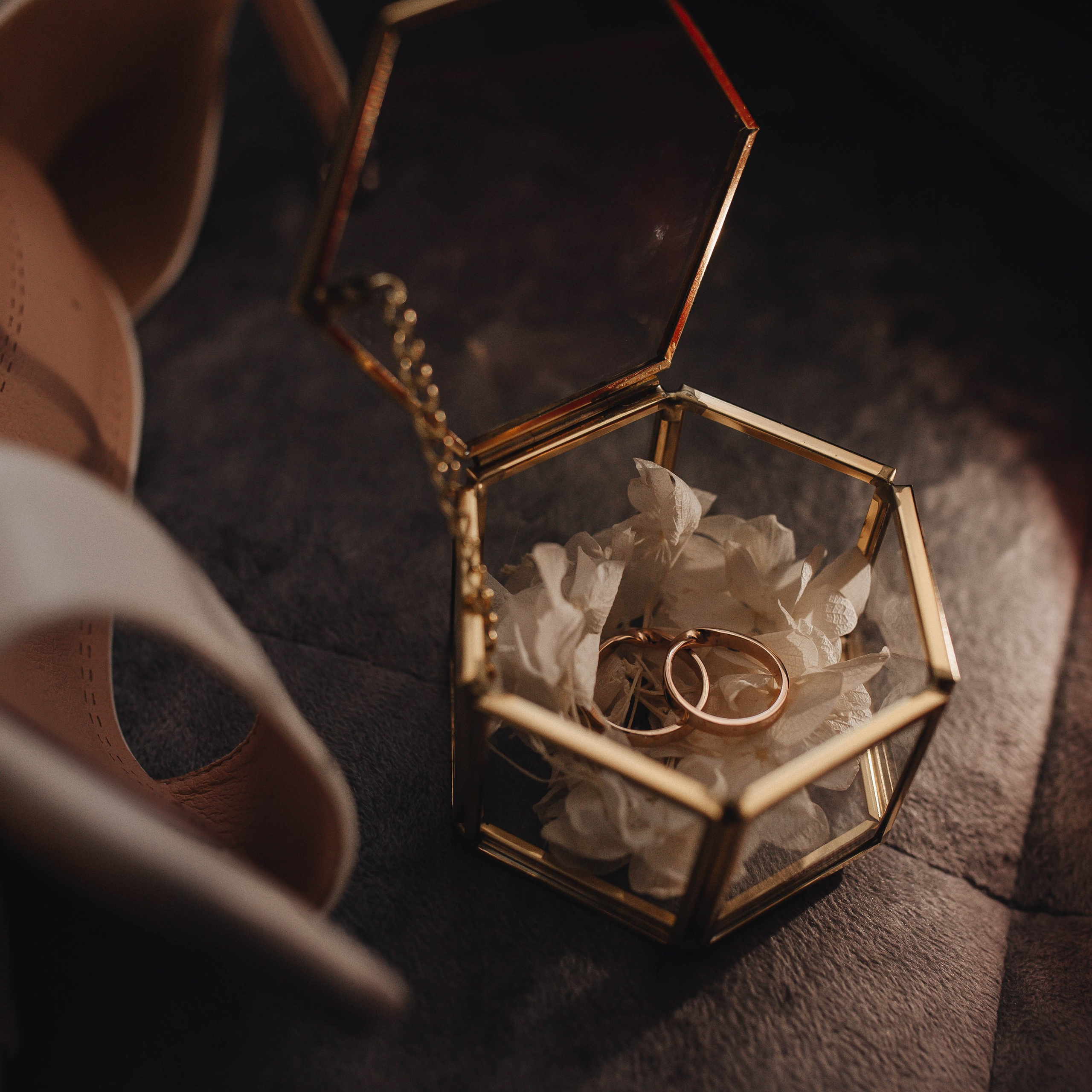 Стоимость. Фотограф Малофеева Алина