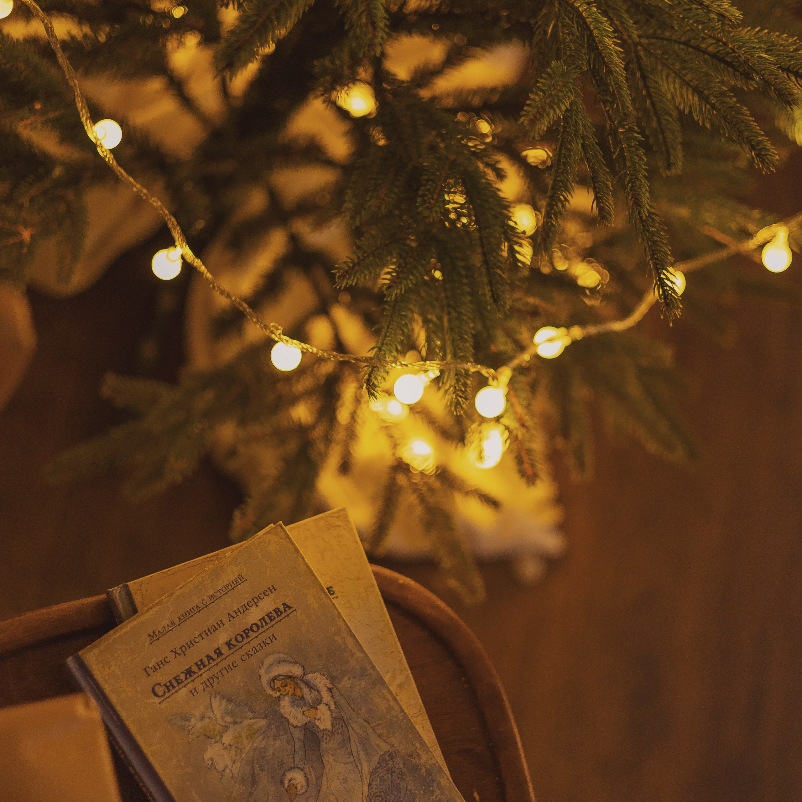 Фотосессия в студии г. Лодейное Поле. Фотограф Лодейное Поле Екатерина Герасимова в Санкт-Петербурге и Лен. области