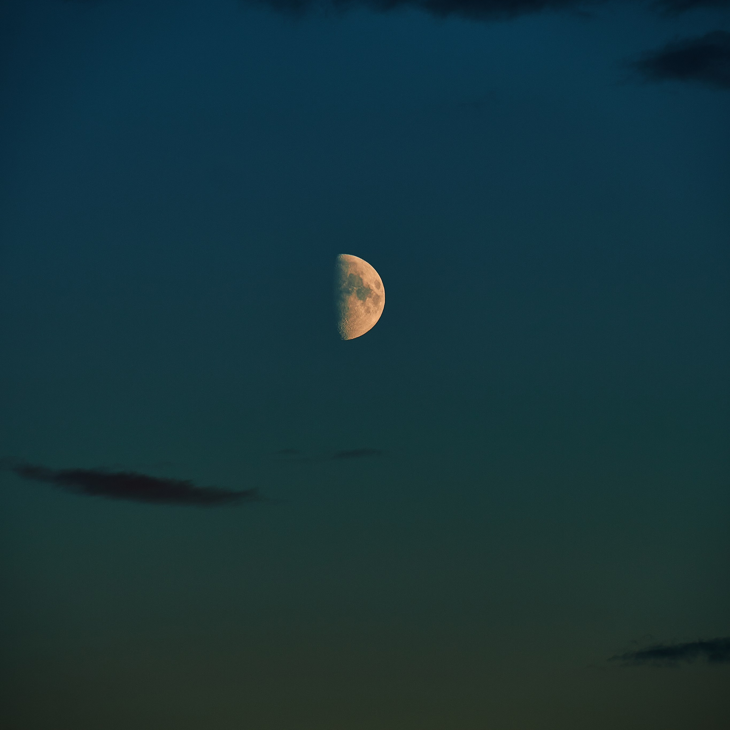 CITYSTETICA. Эльджан — Продюсер, Фотограф, El u Del