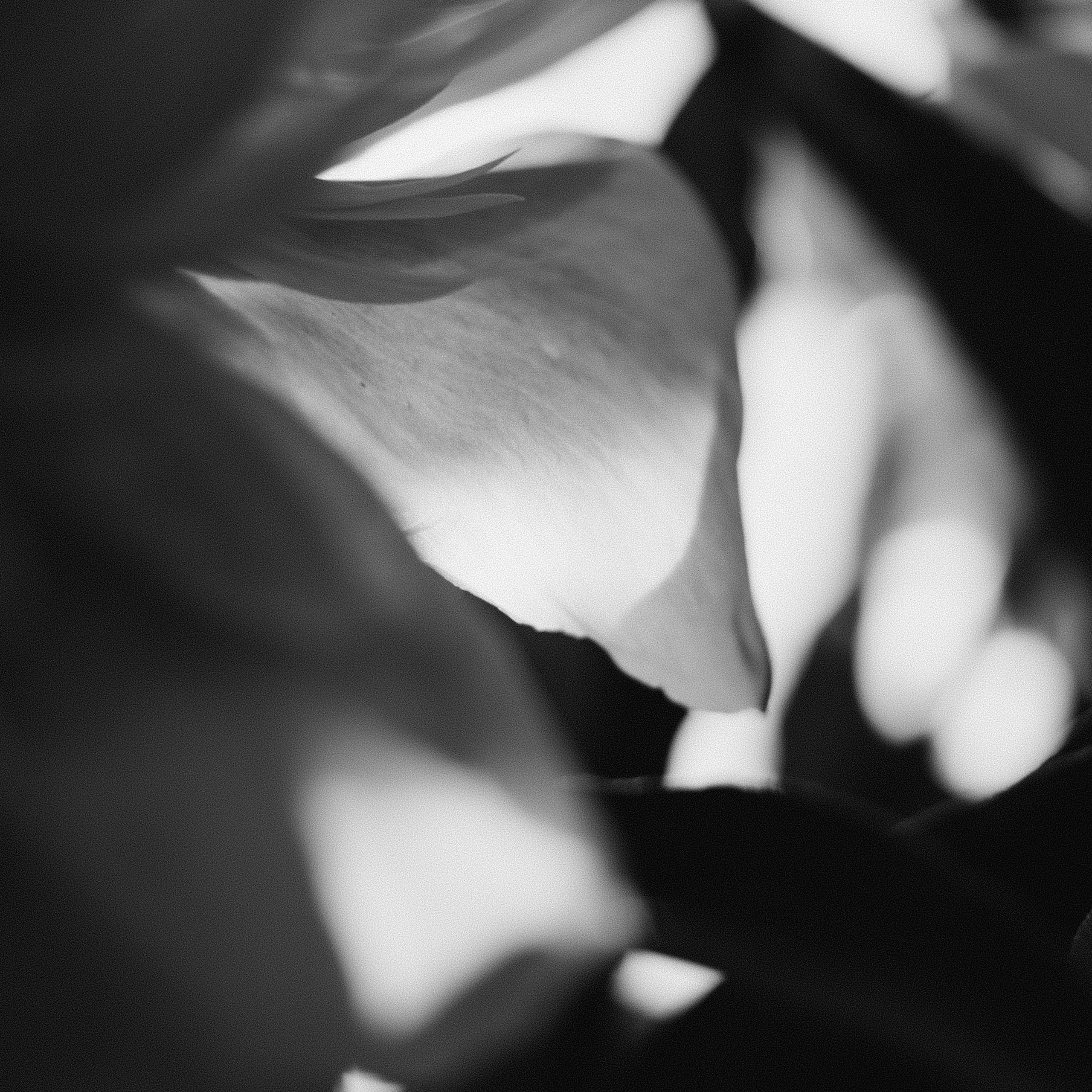 Как подготовиться к фотосессии. Главная