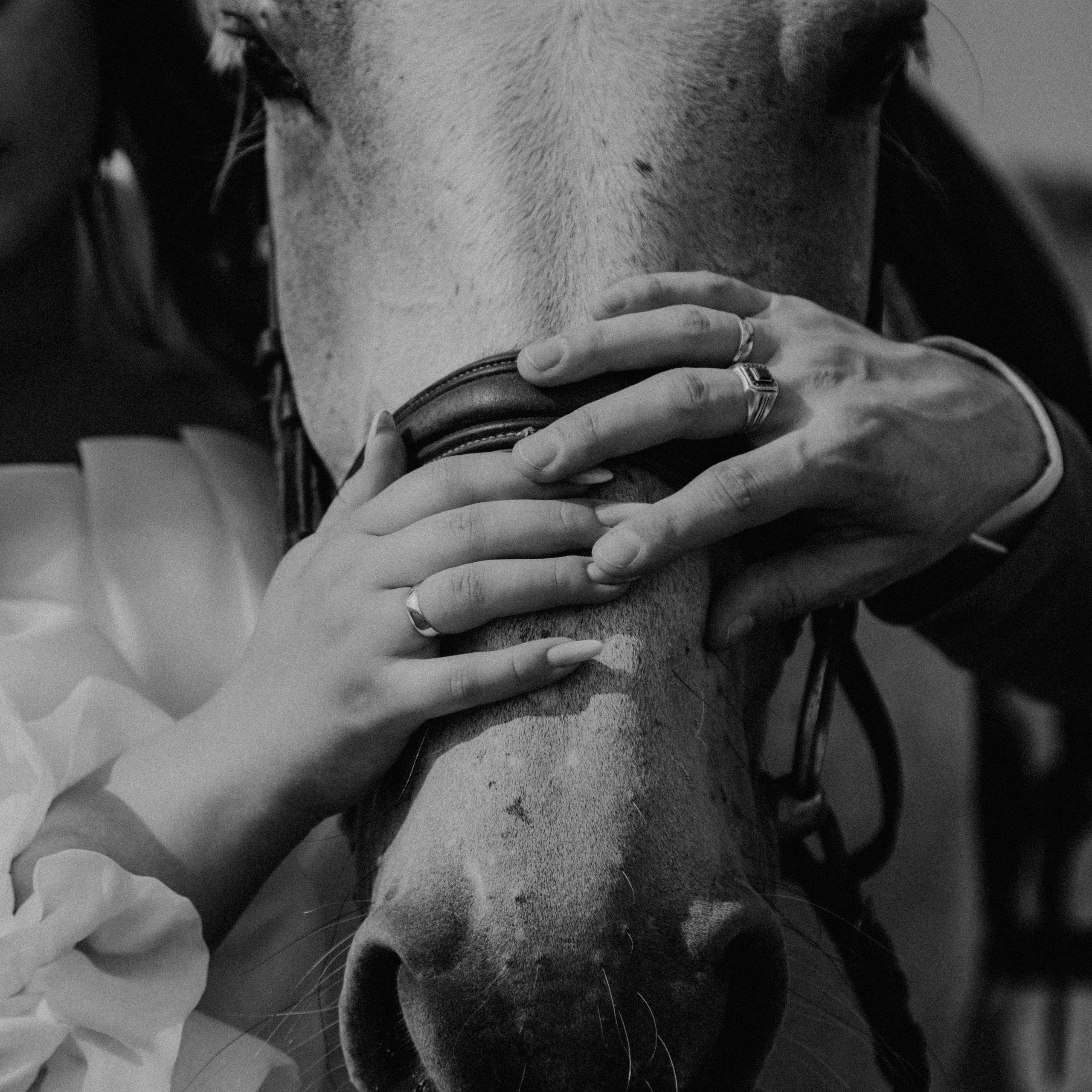 Услуги. Семейный фотограф Абулгазина Катерина