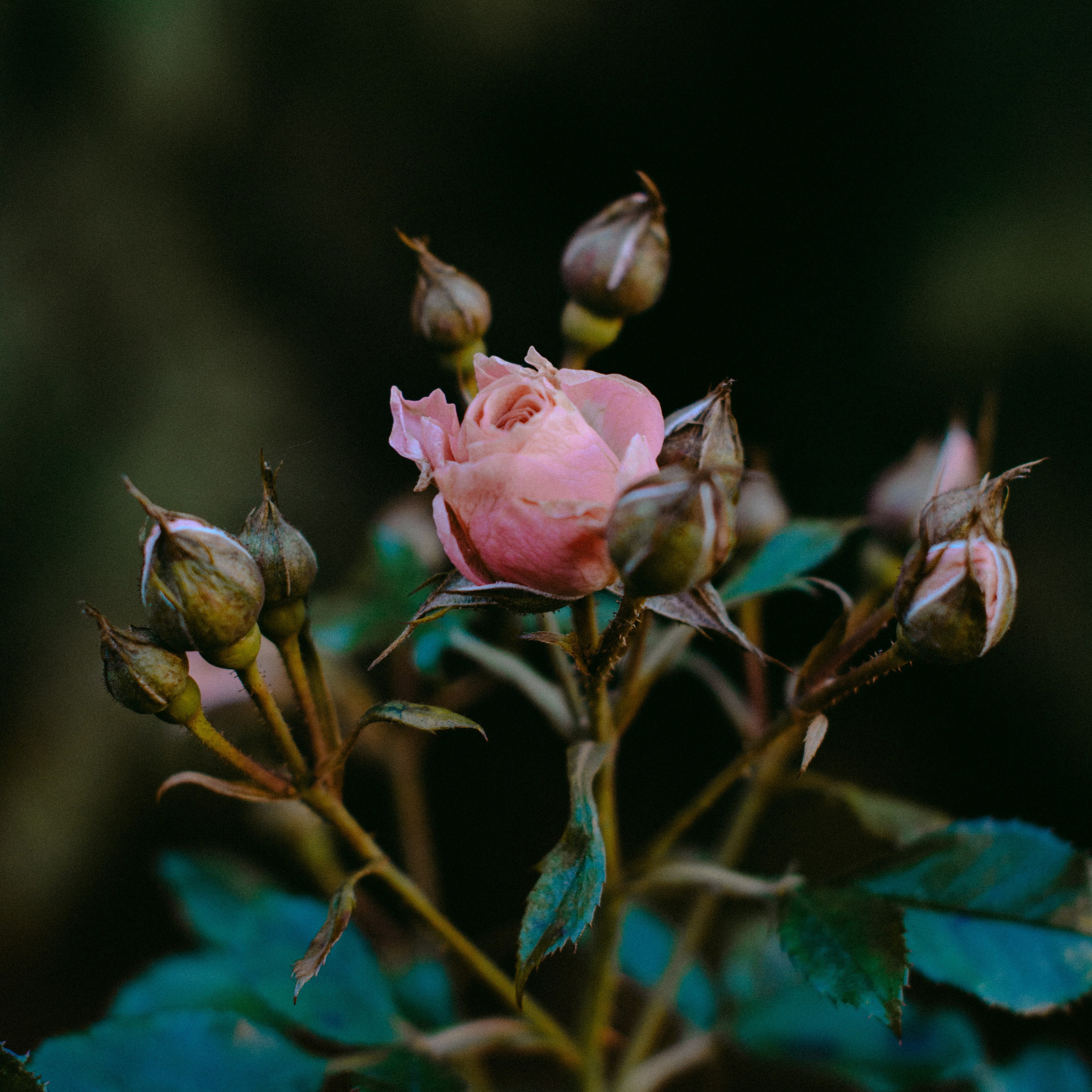 Фотографирую искусство в Хабаровске