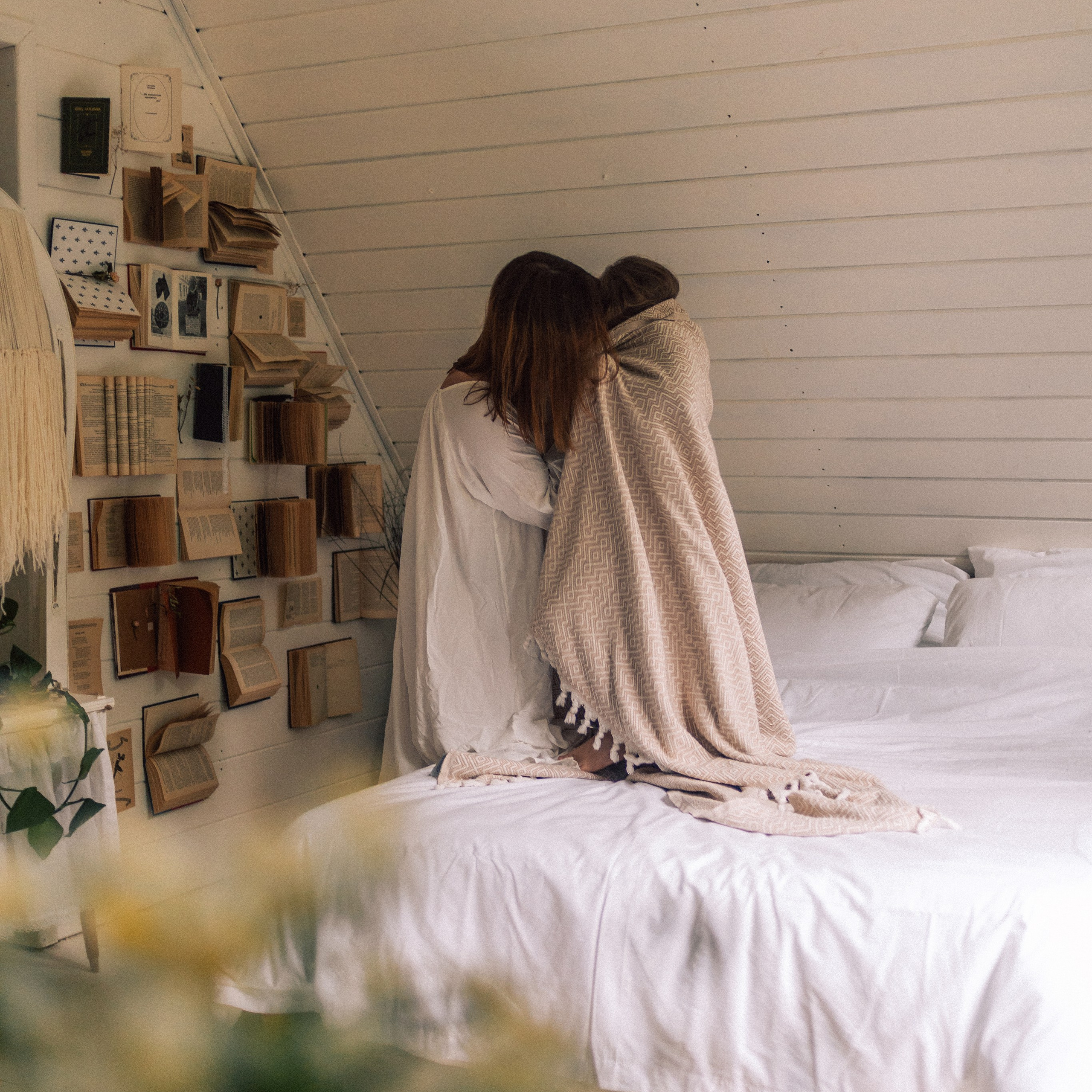 Бронирование. Дом Феникса — загородный дом в лесу