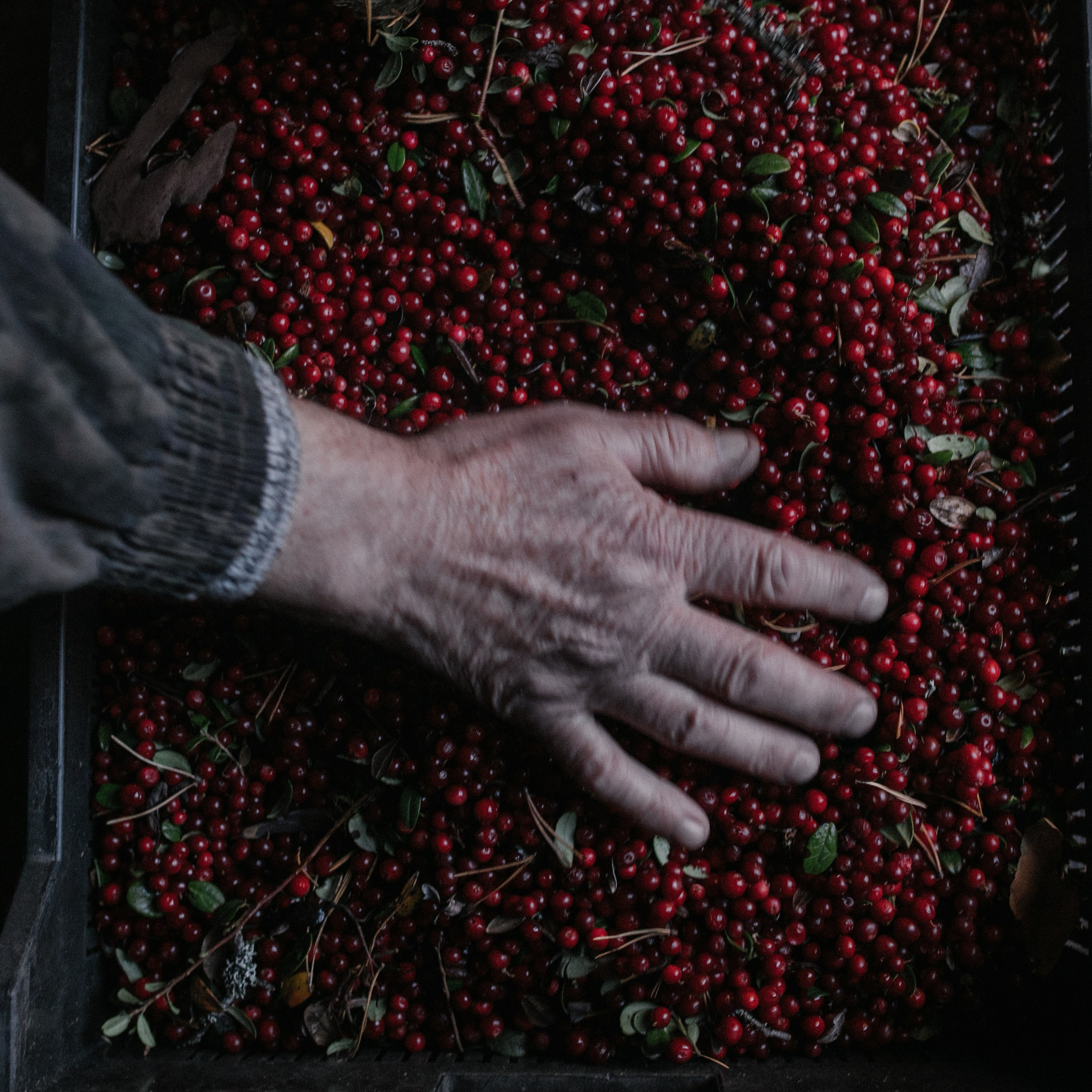 ОБУЧЕНИЕ. Шулятьева Анна визуальный художник