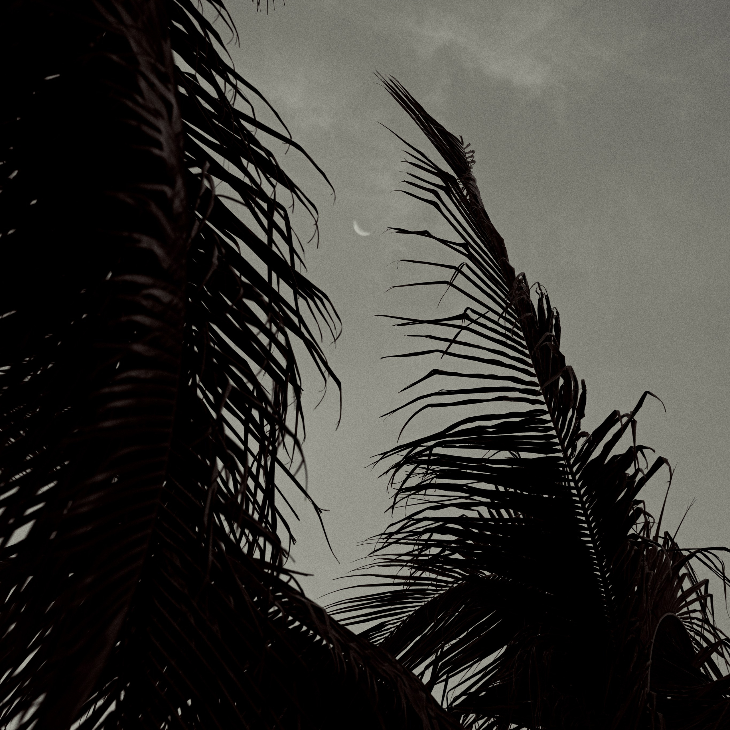 SMM COURSE. Photographer in Yekaterinburg, Sochi, Istanbul, Tbilisi-Bshari Zaana