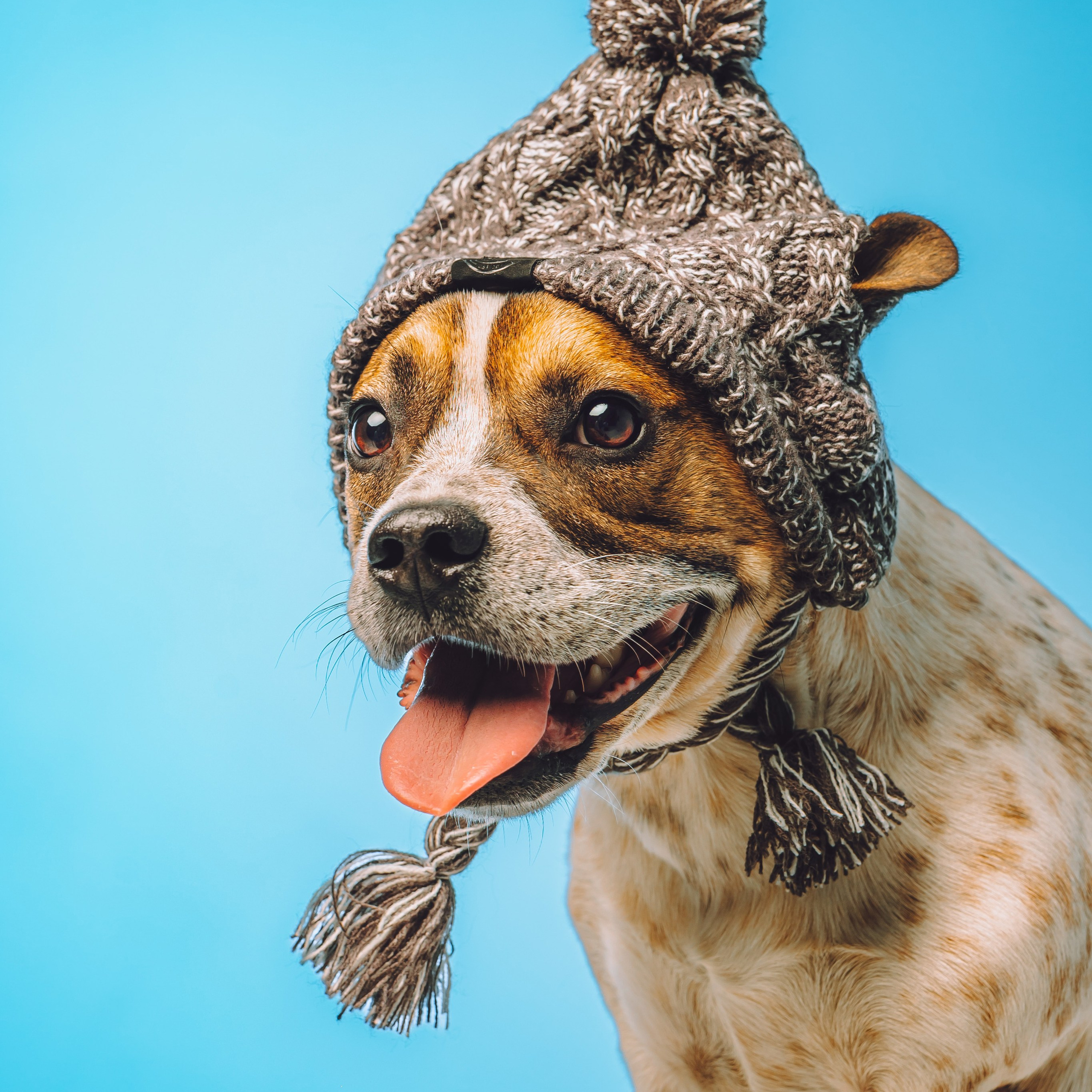 Воркшоп по импульсному свету