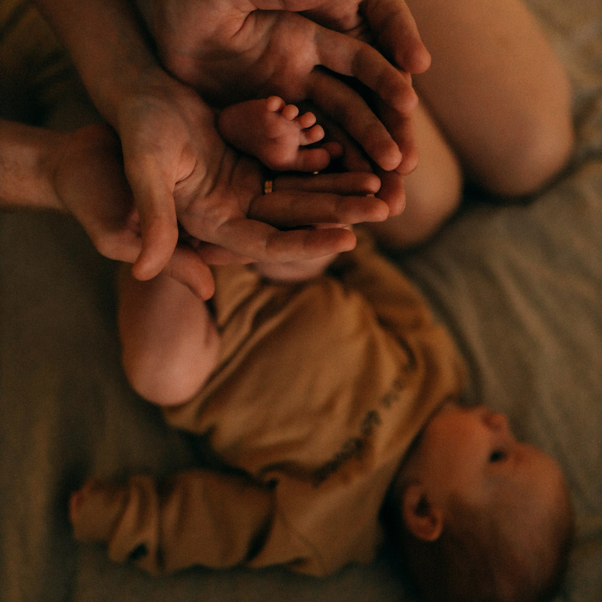 Прайс. Фотограф София Комкина