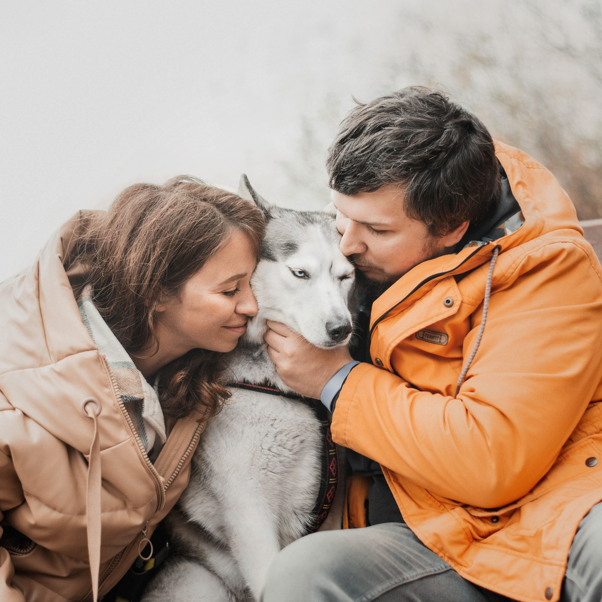 Фотограф собак, анималист в Москве Кира Яковлева