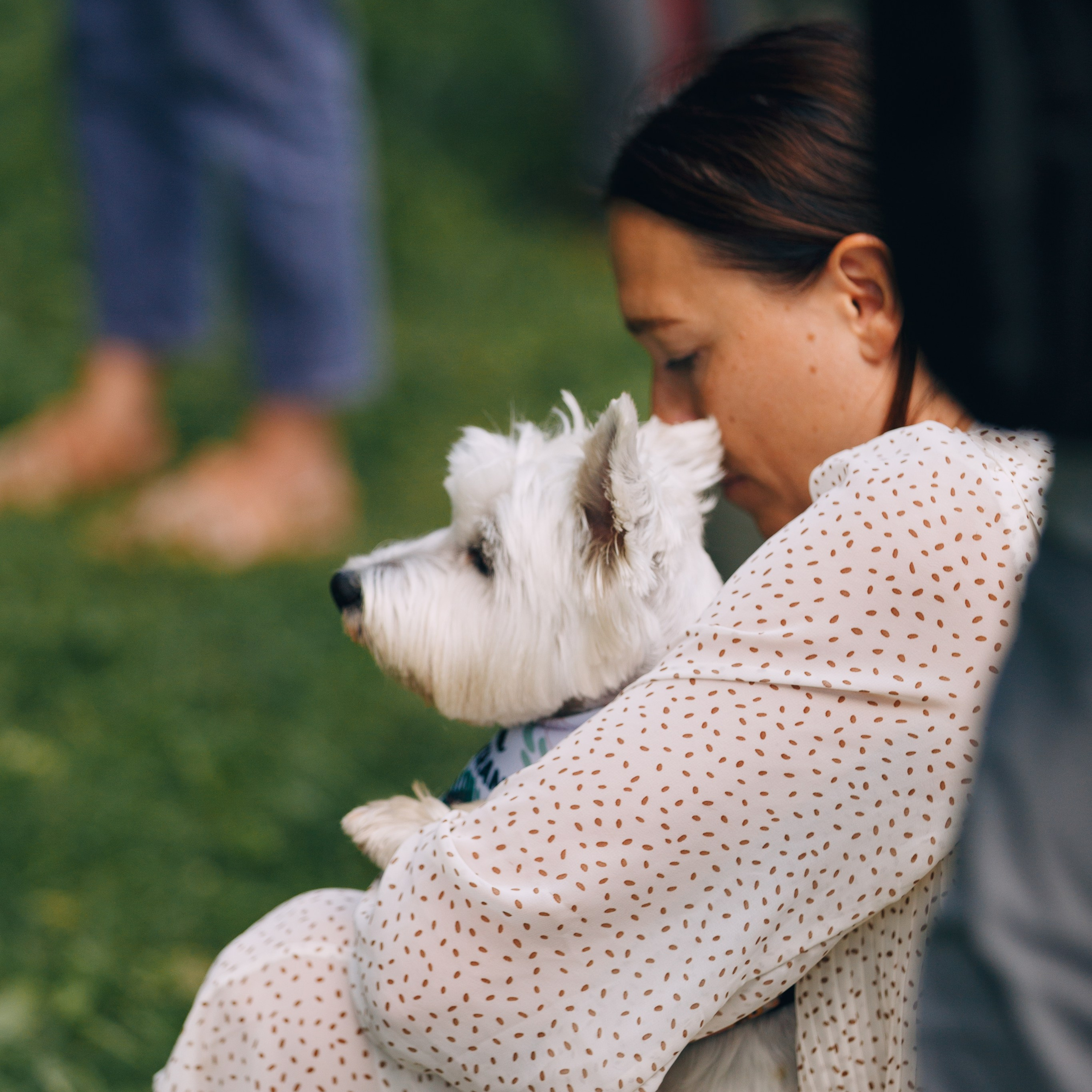 Стоимость. Фотограф анималист Кристина Карпова, Москва