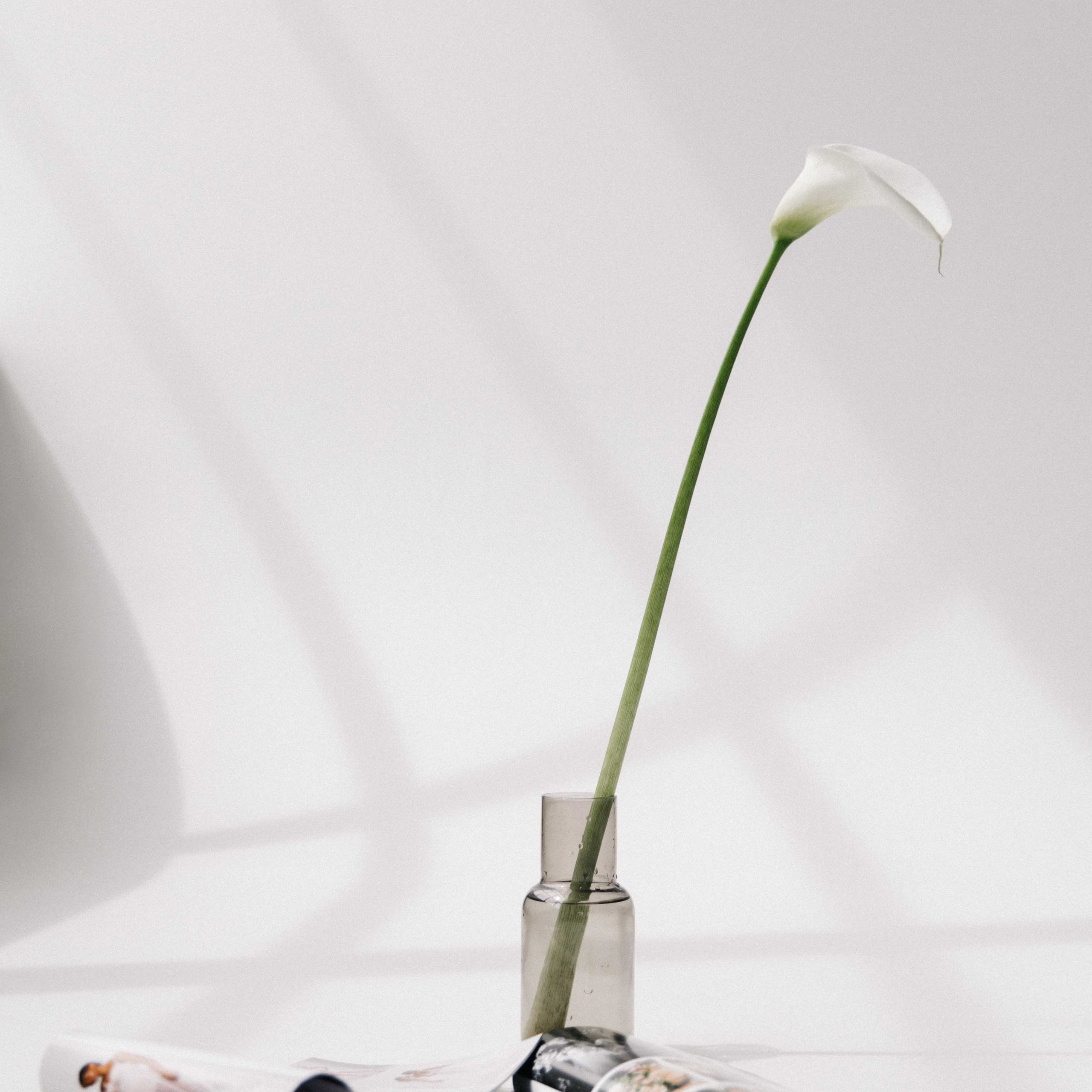 Услуги. Свадебный и семейный фотограф в Краснодаре