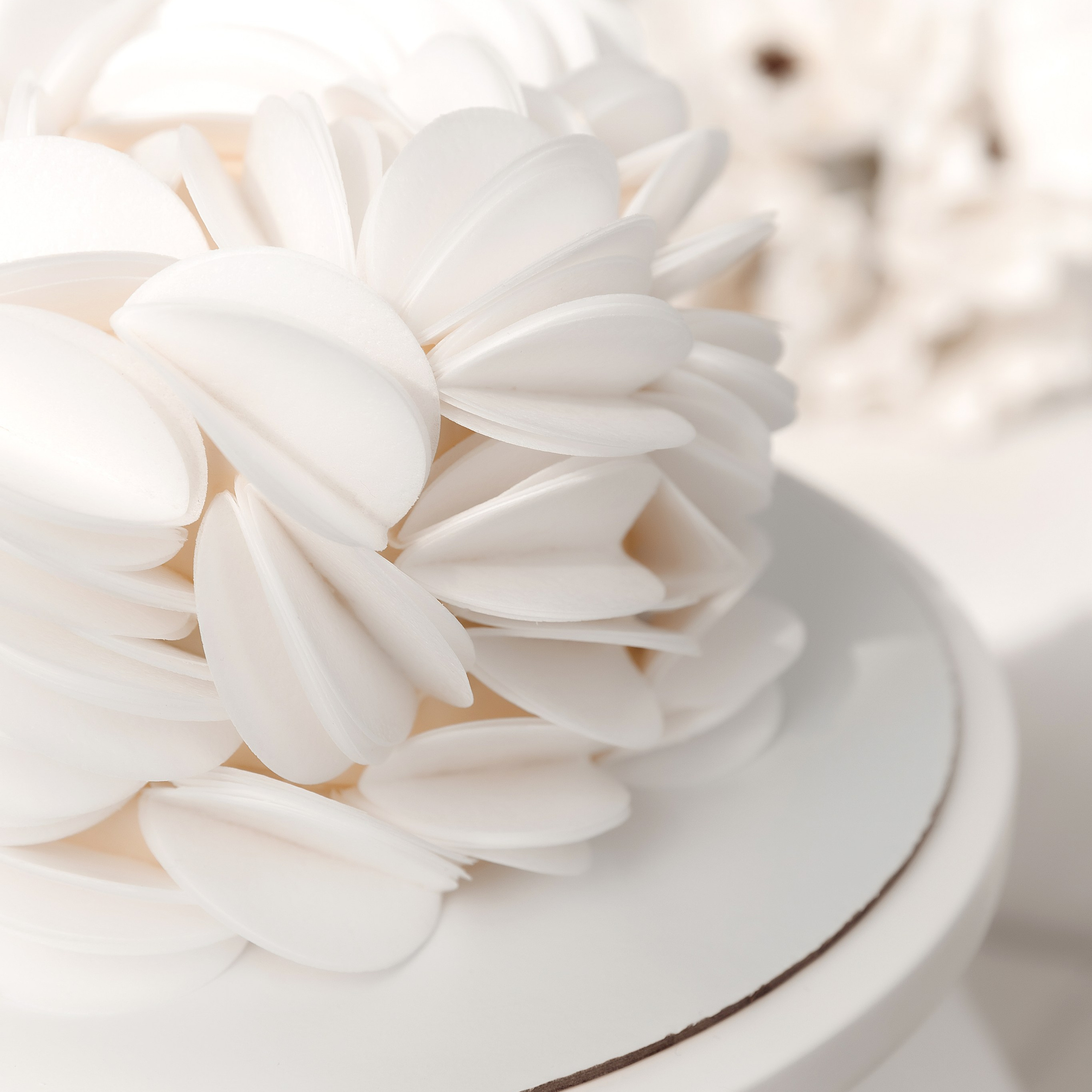 Контакты. Свадебный и семейный фотограф Разида Мухаметова