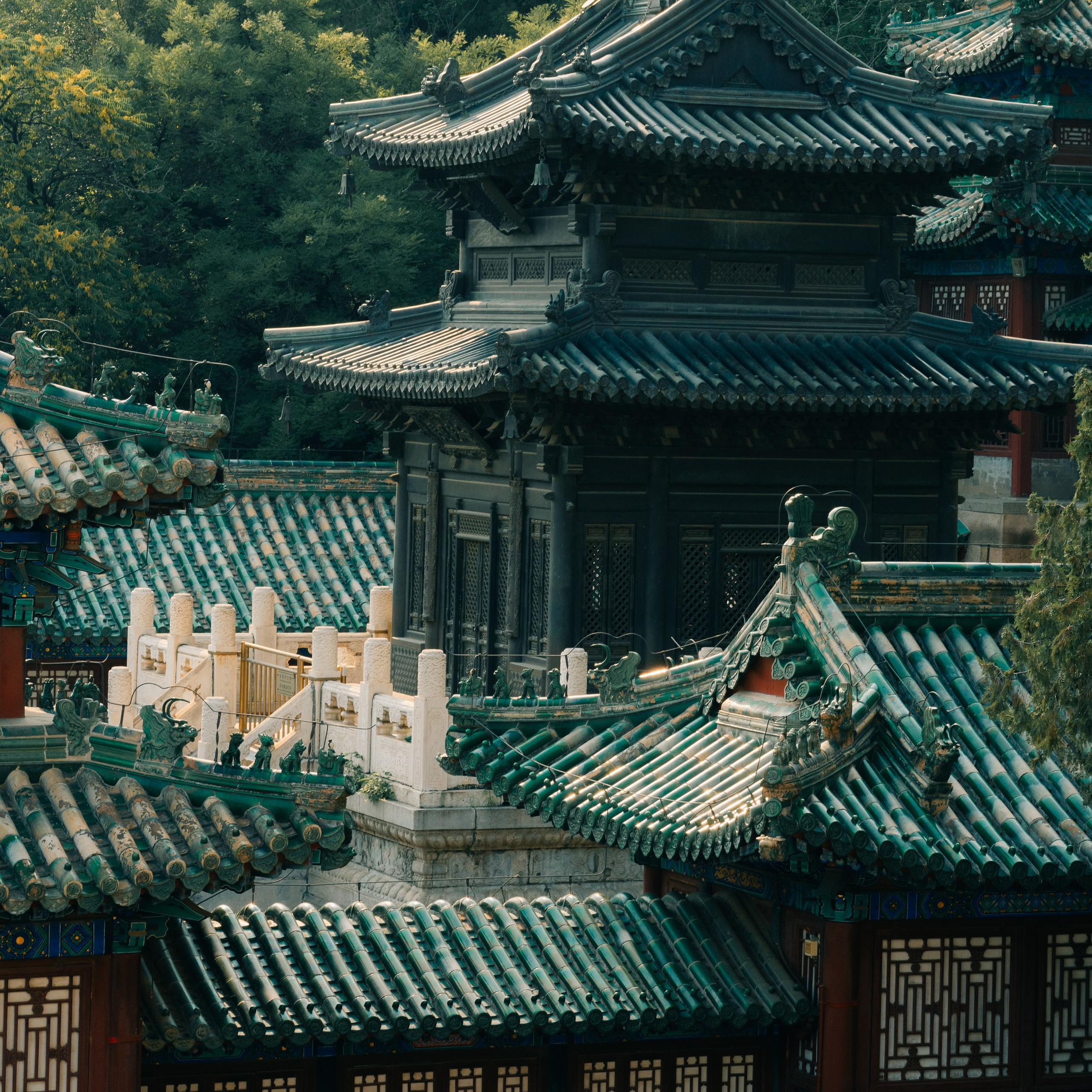 Фотопрогулки с фотографом в Шанхае и Пекине — цены и маршруты