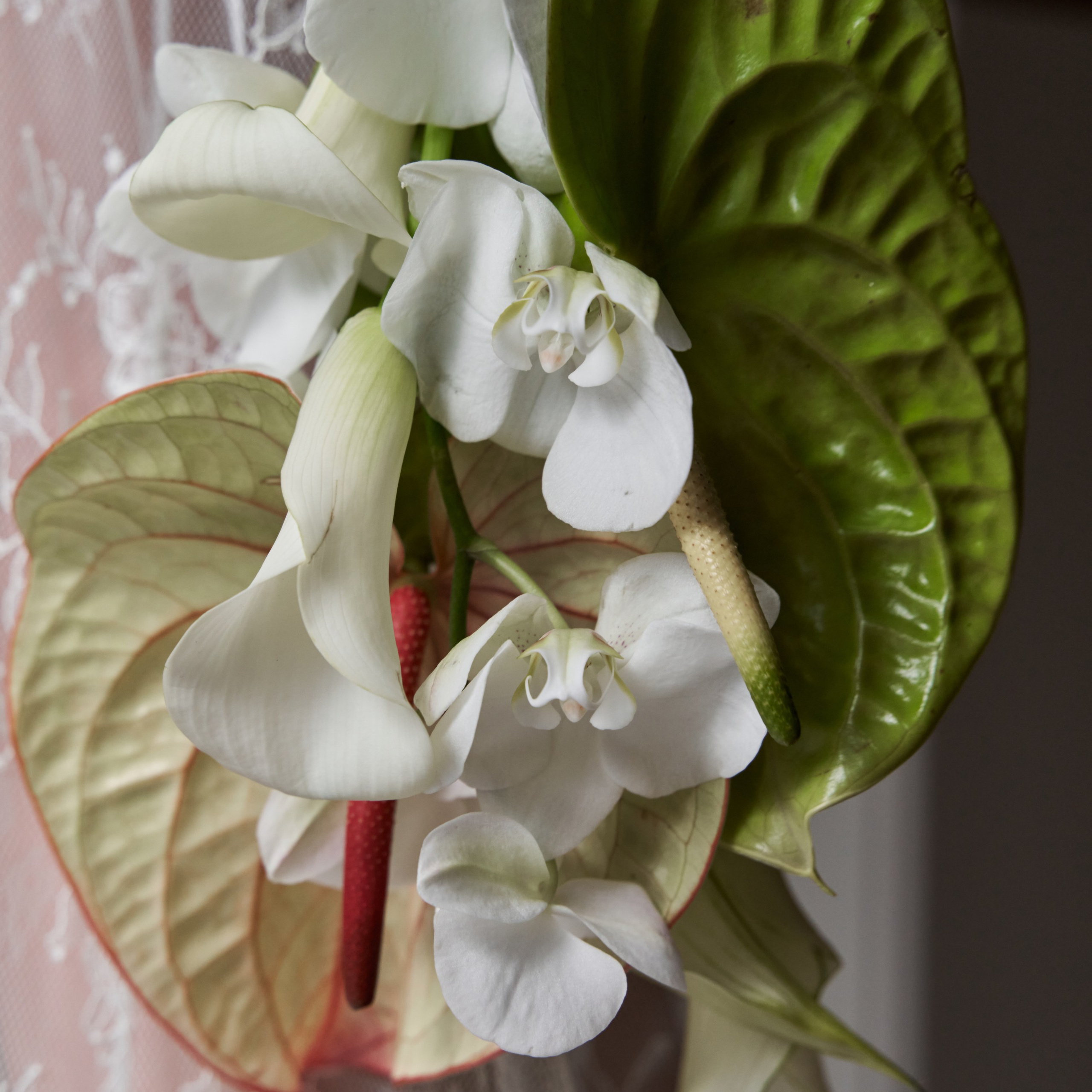 Услуги. Фотограф Махачкала