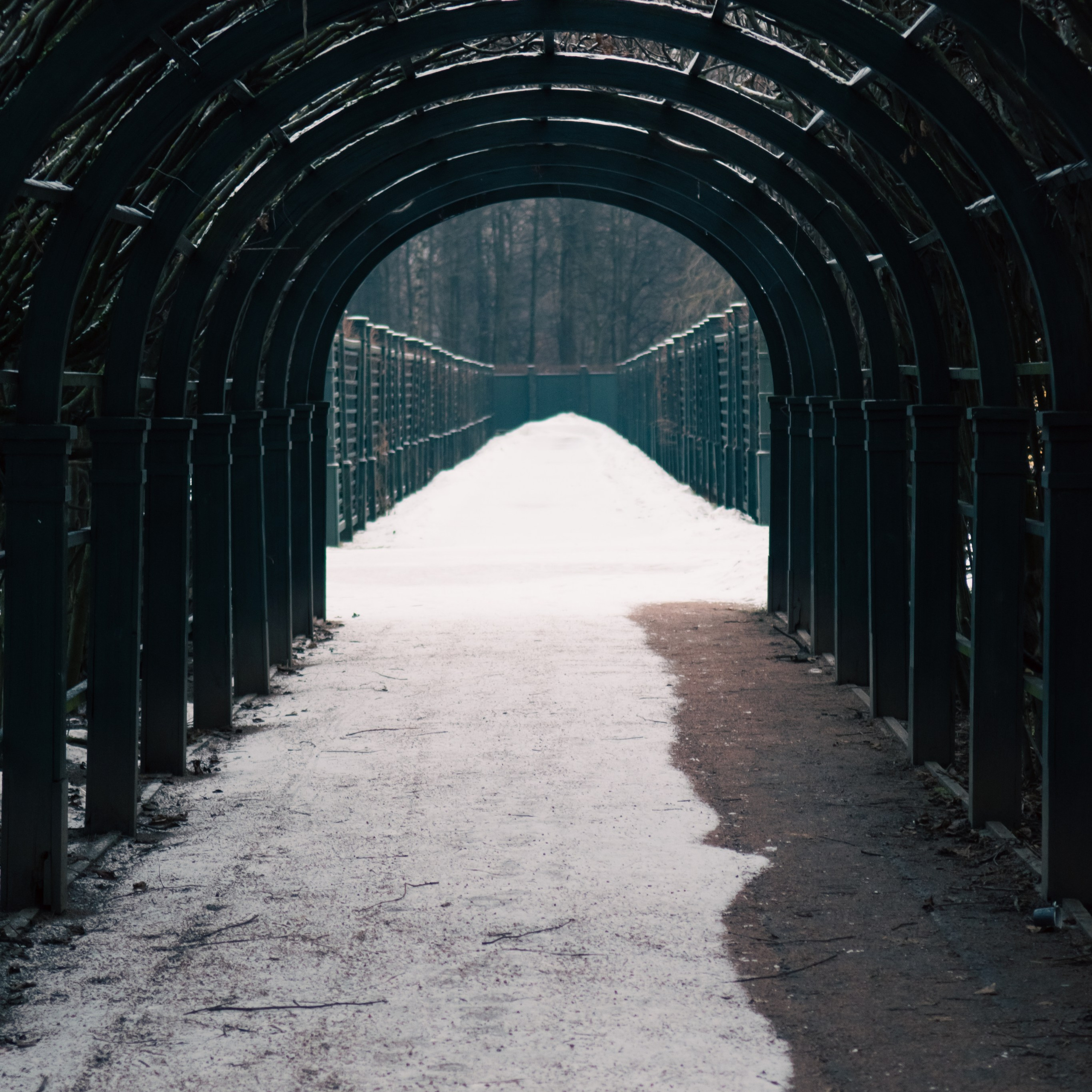 Контакты. Портретный и репортажный фотограф Вадим Эпов