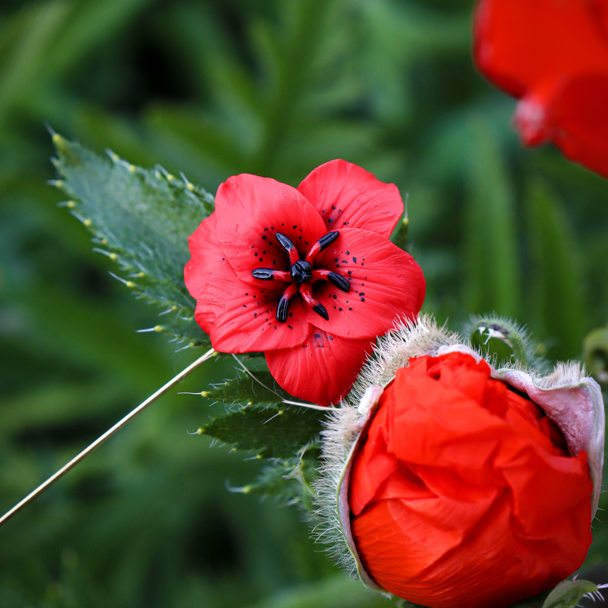 Предметная съемка
