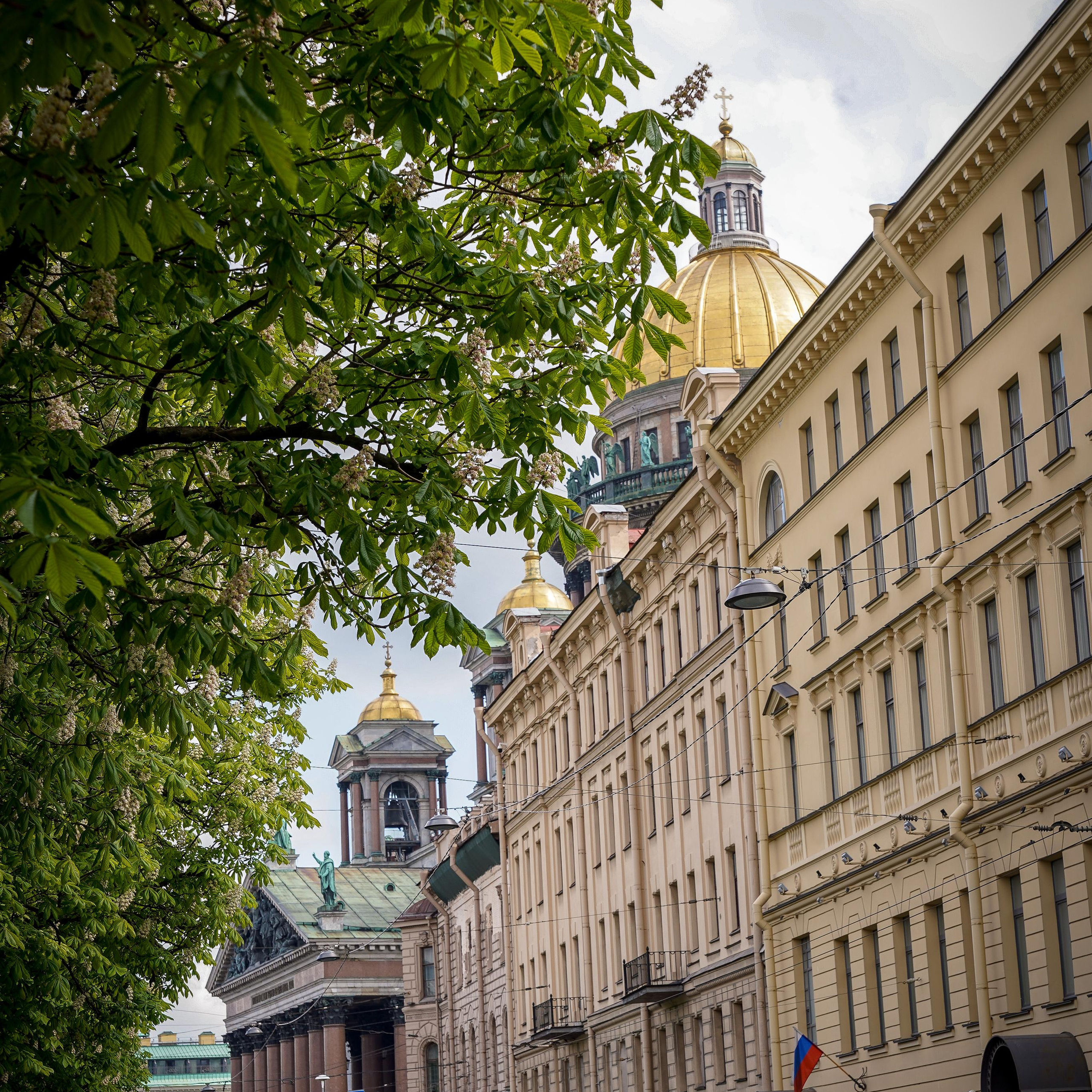 Прогулочная фотосессия