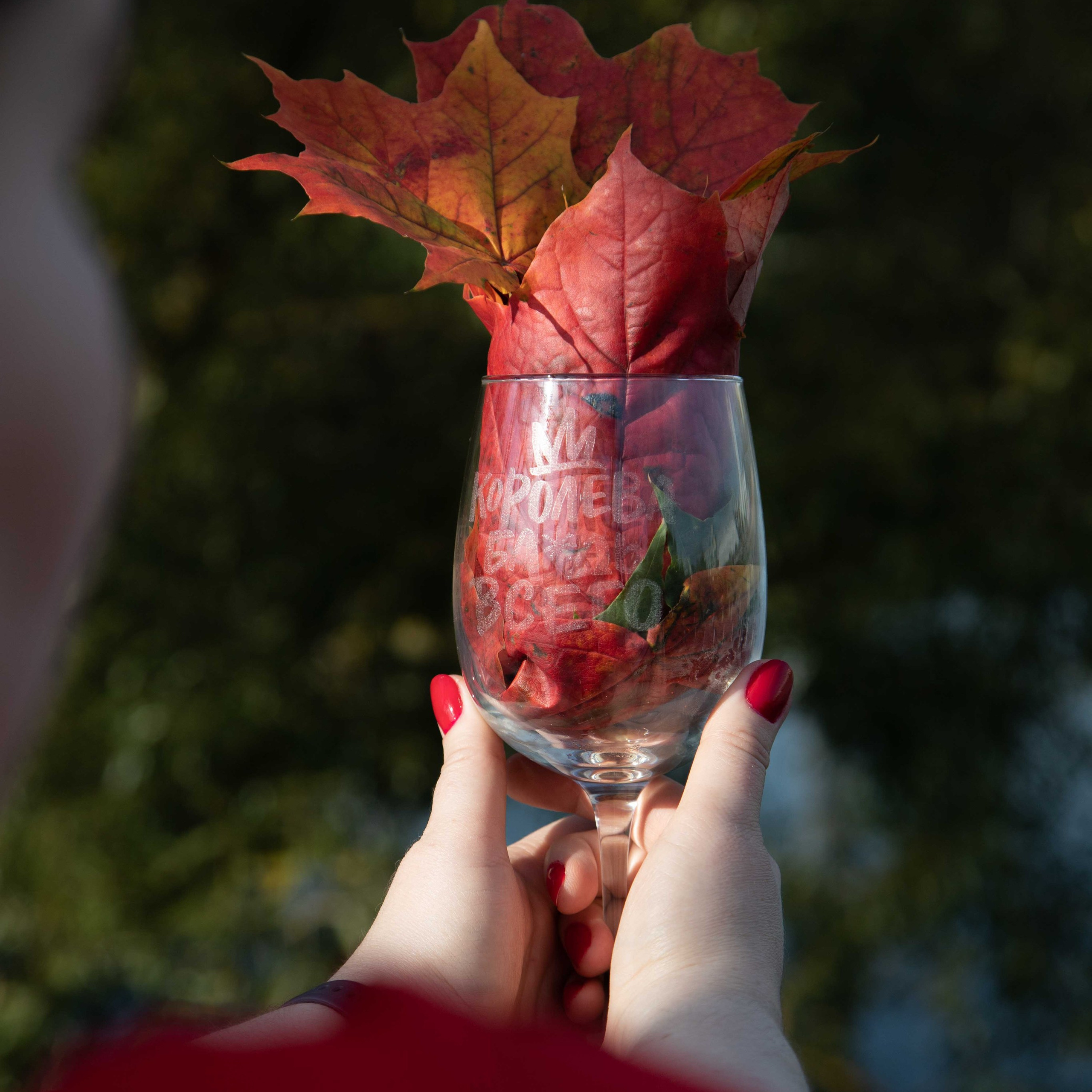 Контакты. Фотограф главных событий и делового контента Москва Зеленоград