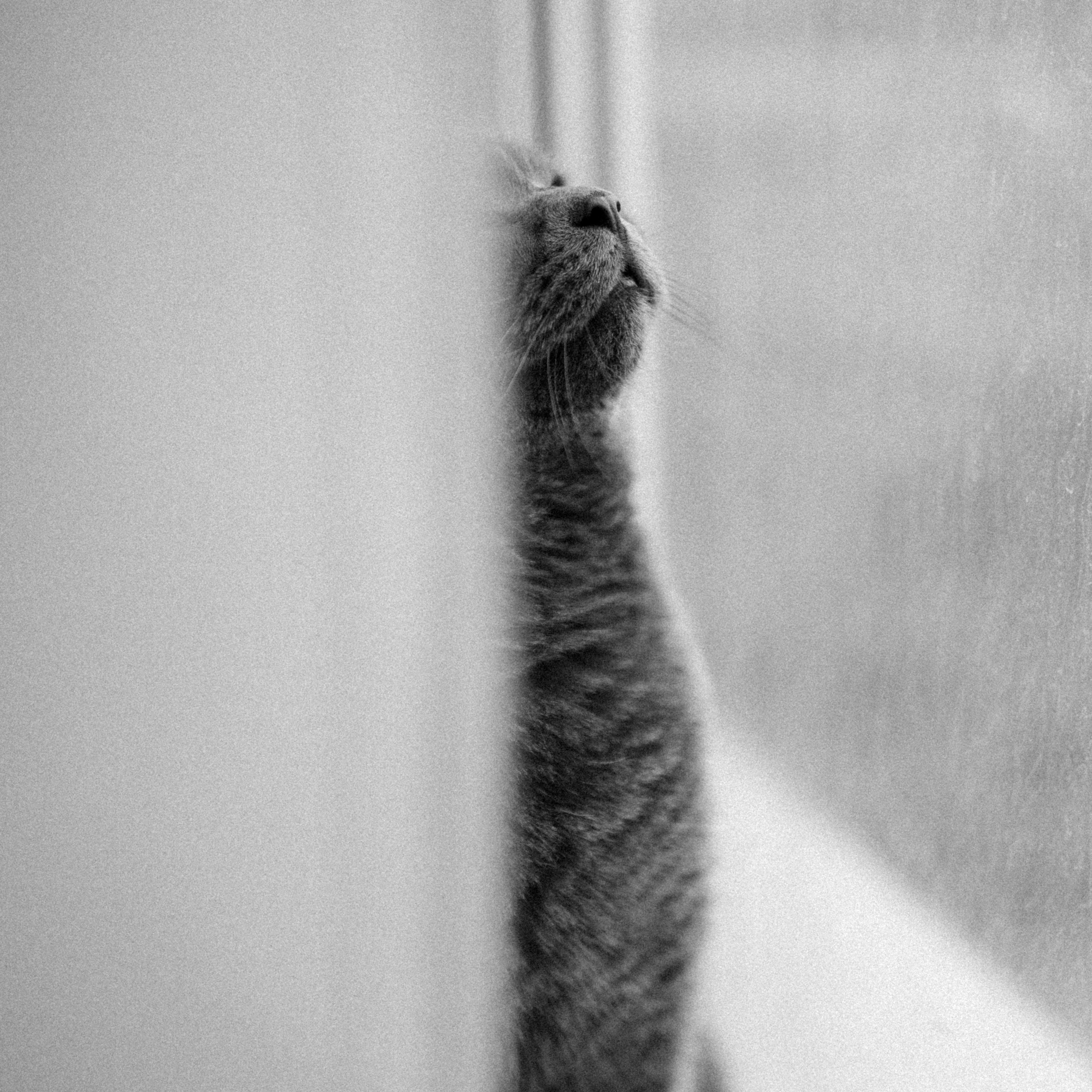 Контакты. Фотограф в Астрахани Миронова Анастасия