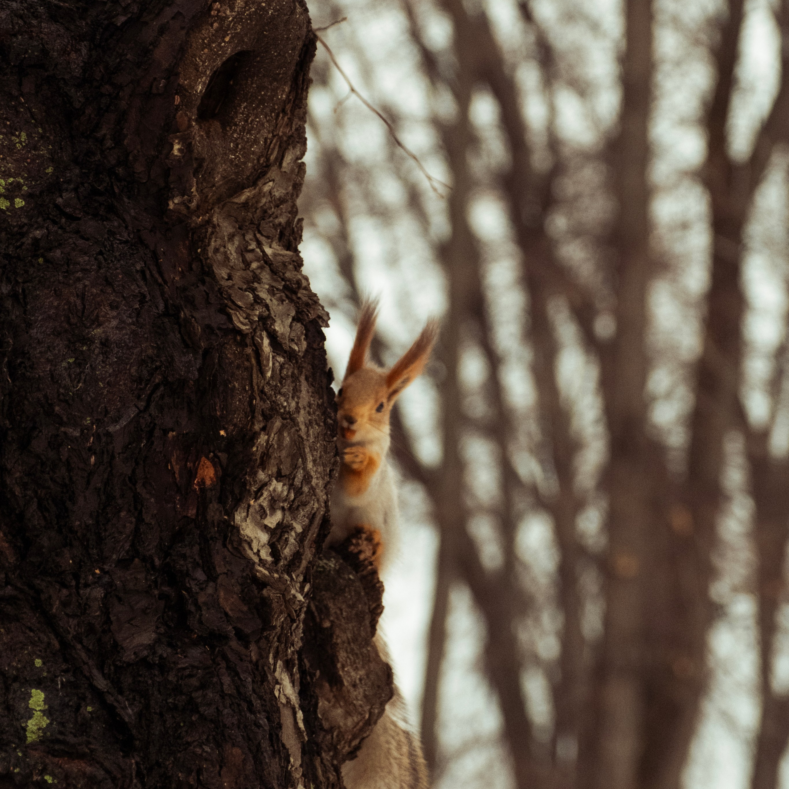 M. Neizvestniy — уличная и спортивная фотография