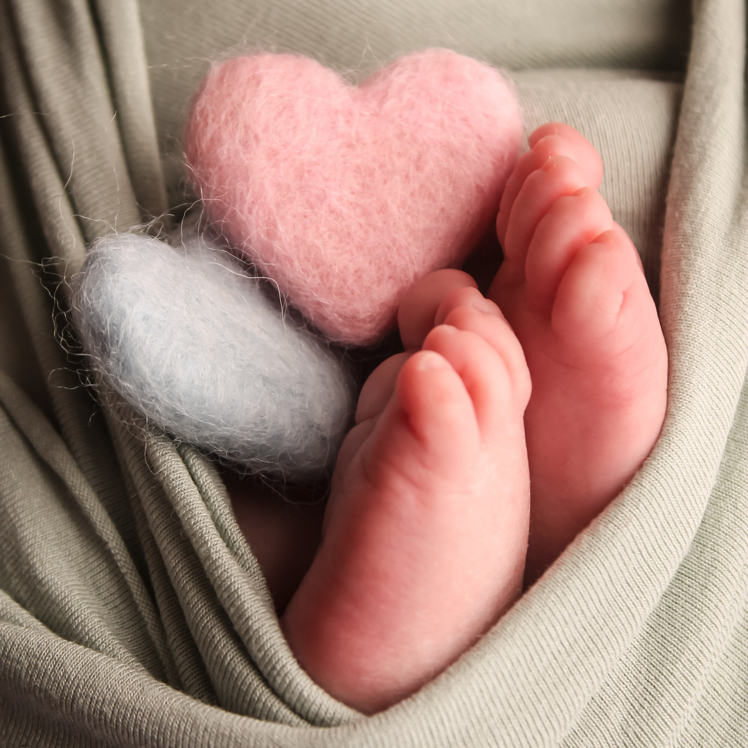 Обо мне. Photograper Israel/фотограф Израиль. ALINA TARAN