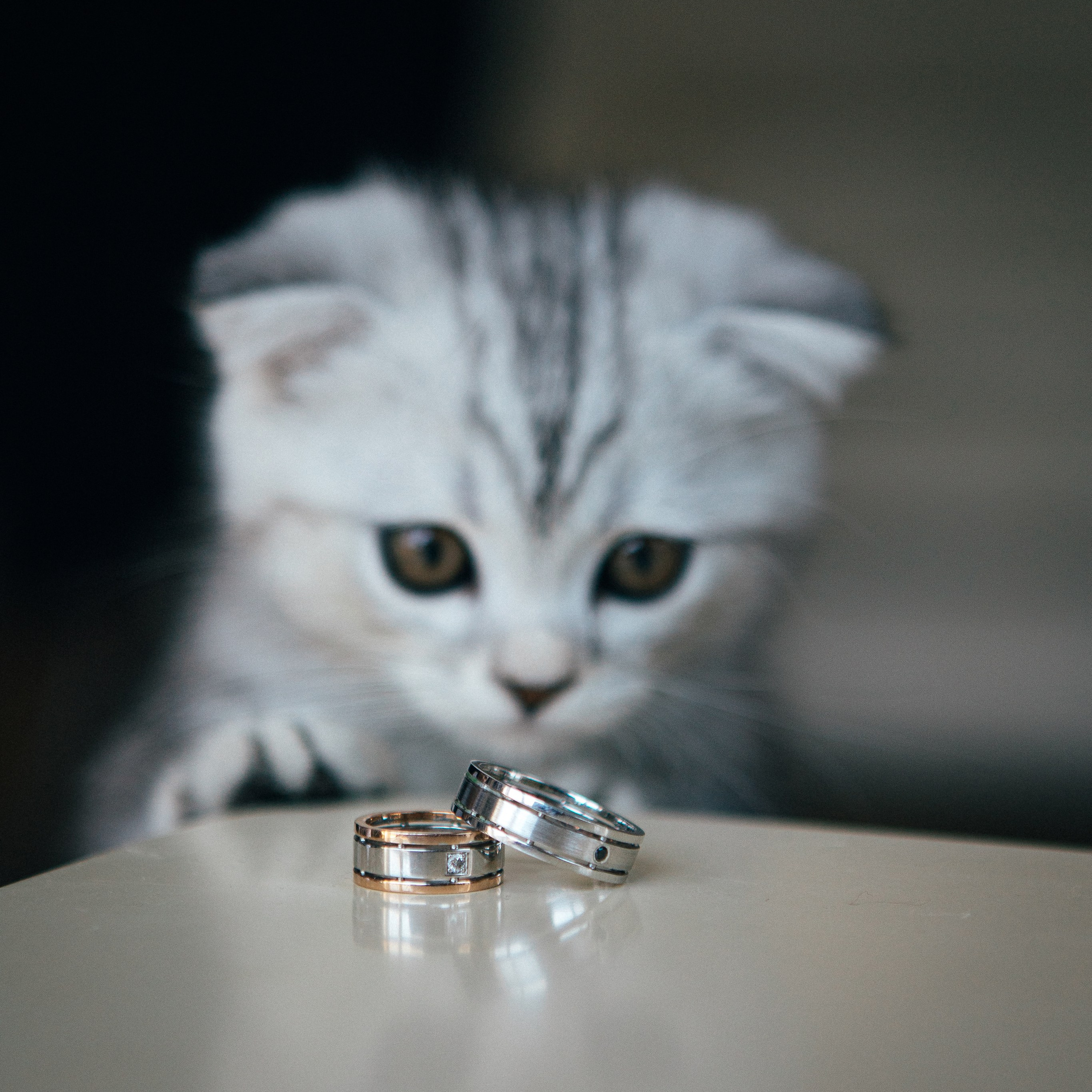 Свадьбы. Юрий Тублицев. Фотограф. Оренбург