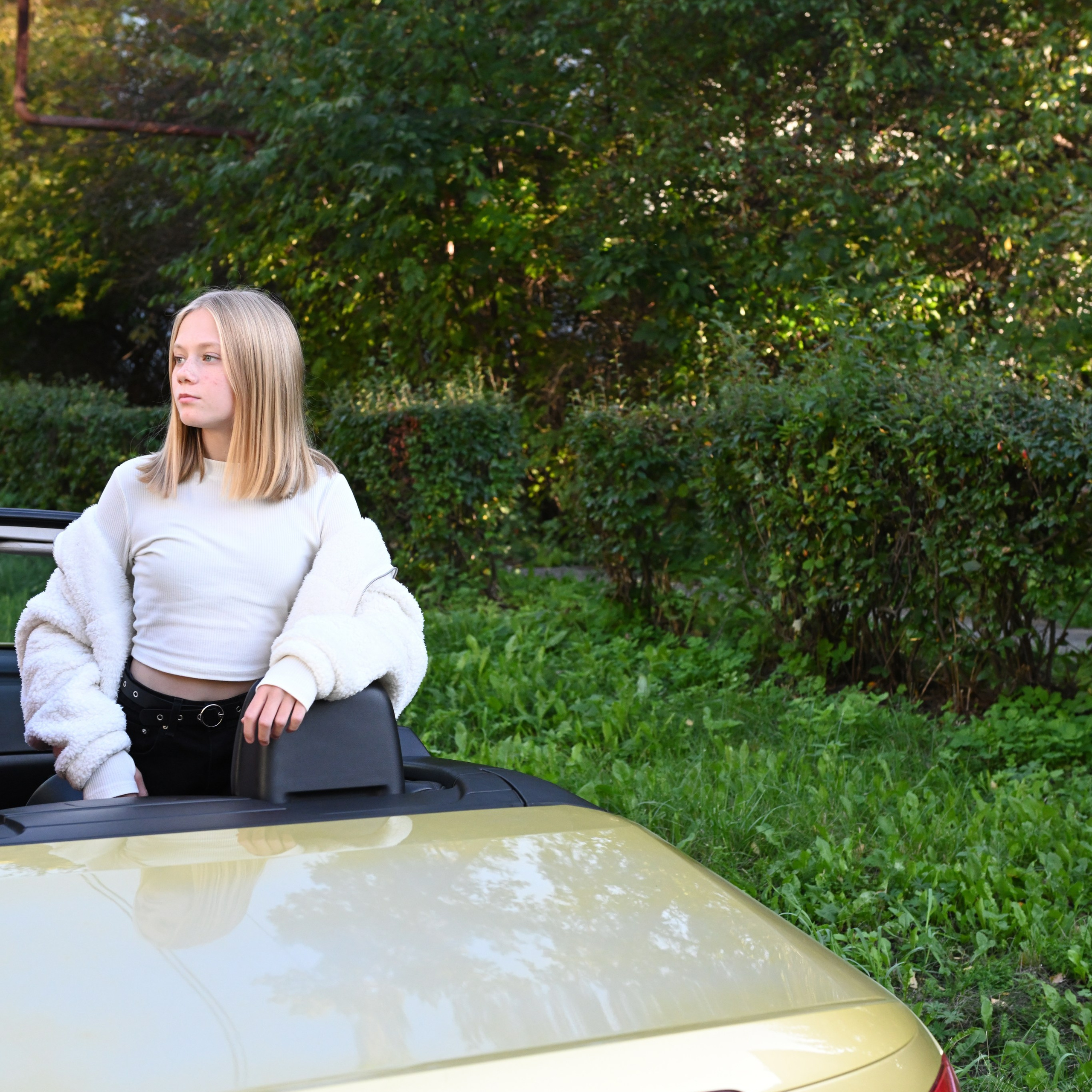 Услуги. Снежинск фото Андрианов